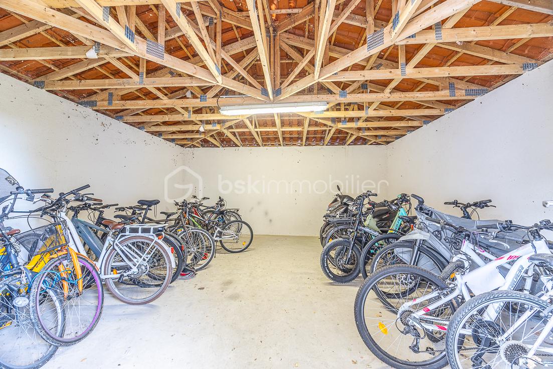 11 grg velo.jpg