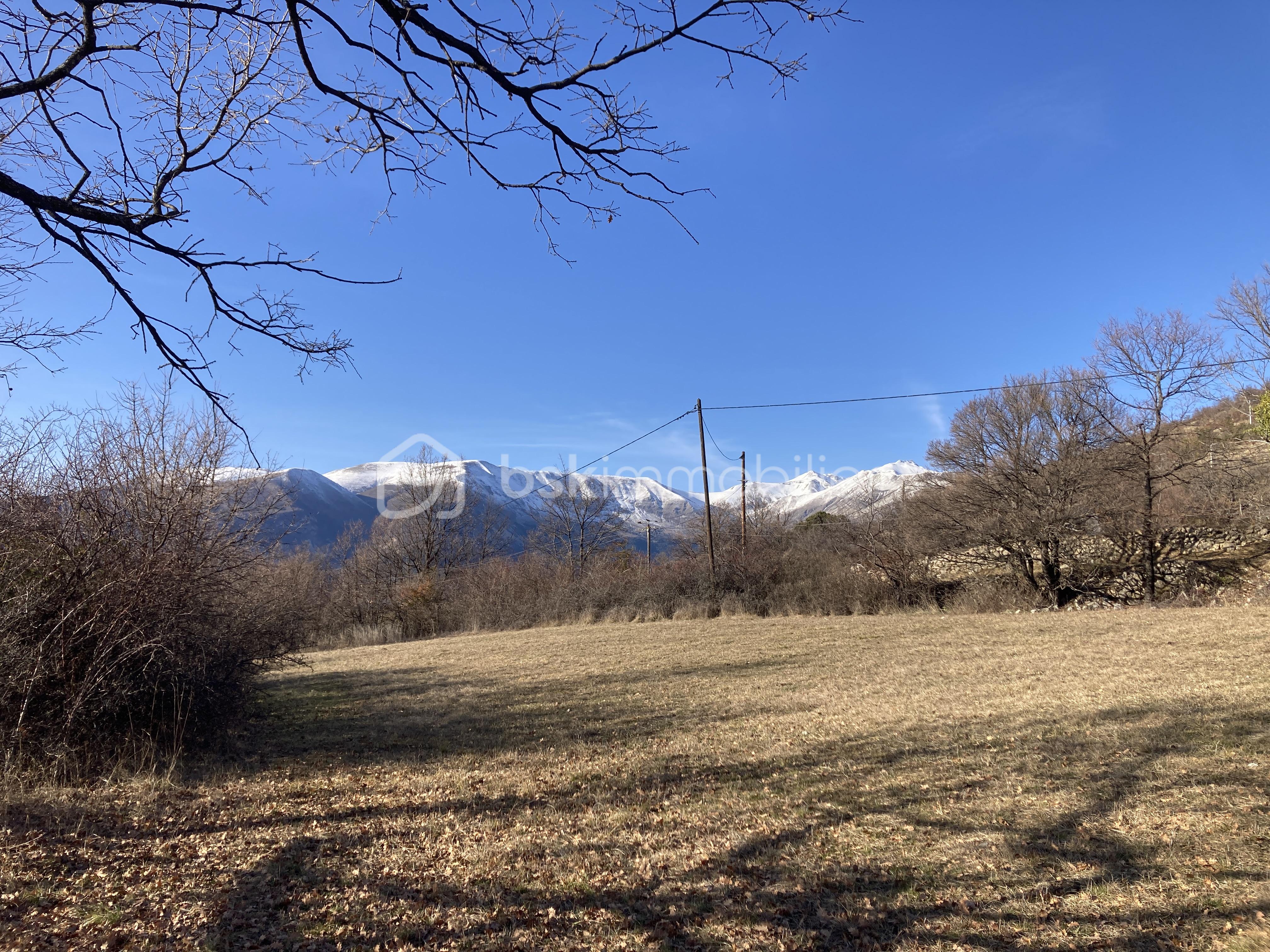 Terrain de 1 305 m²