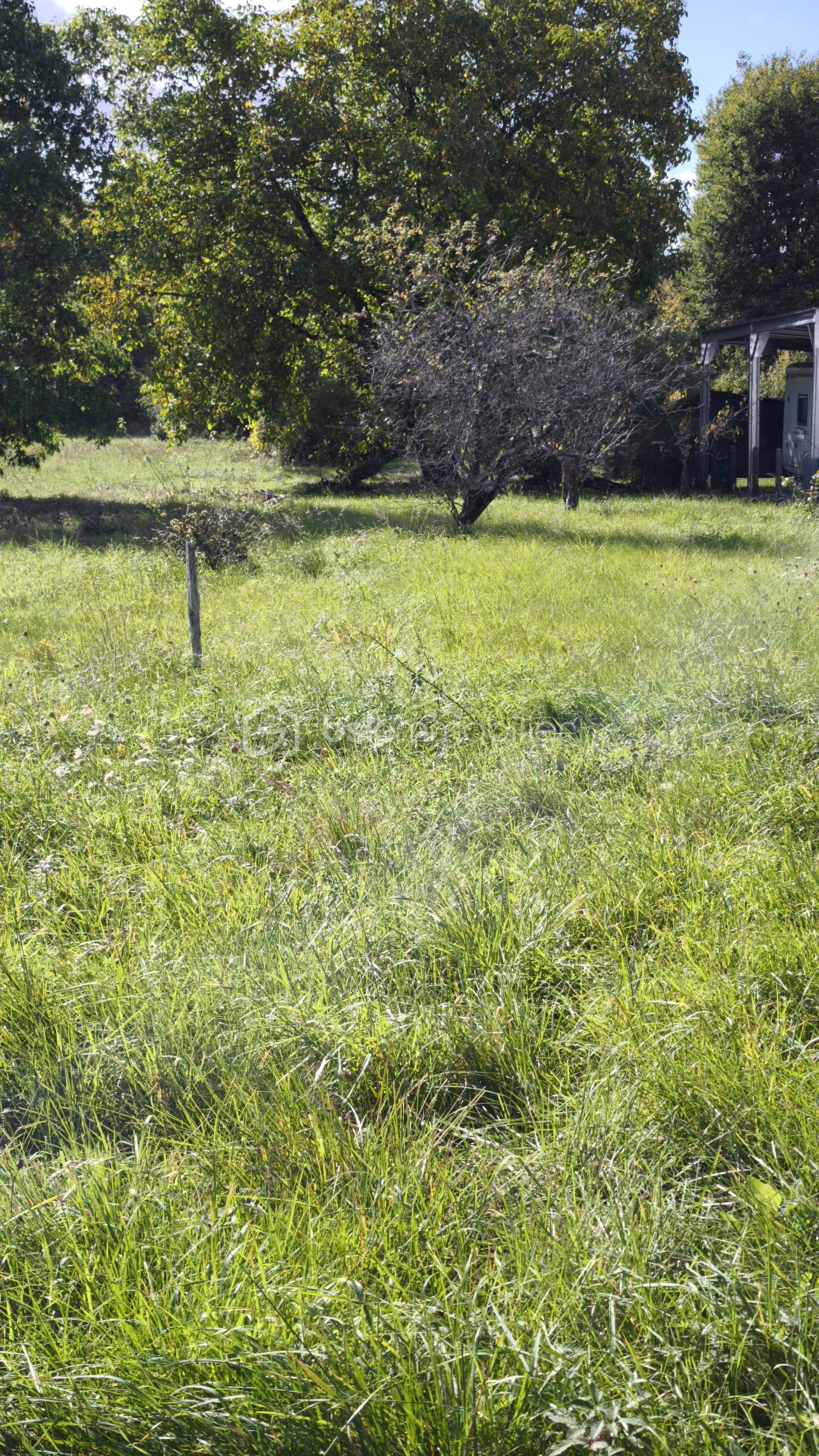 Terrain de 797 m² - 1759748524873.jpg