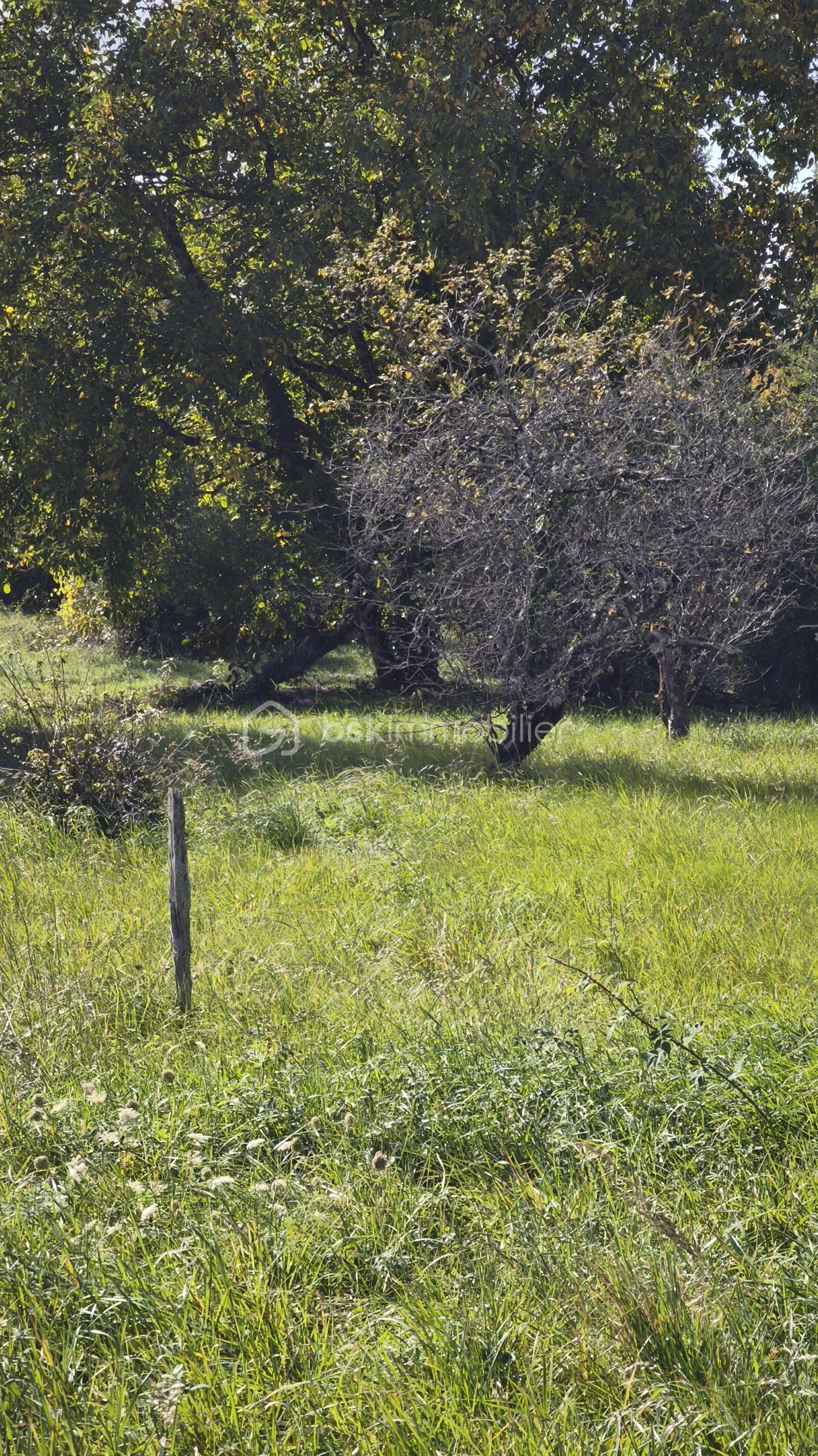 Terrain de 797 m² - 1759748524858.jpg