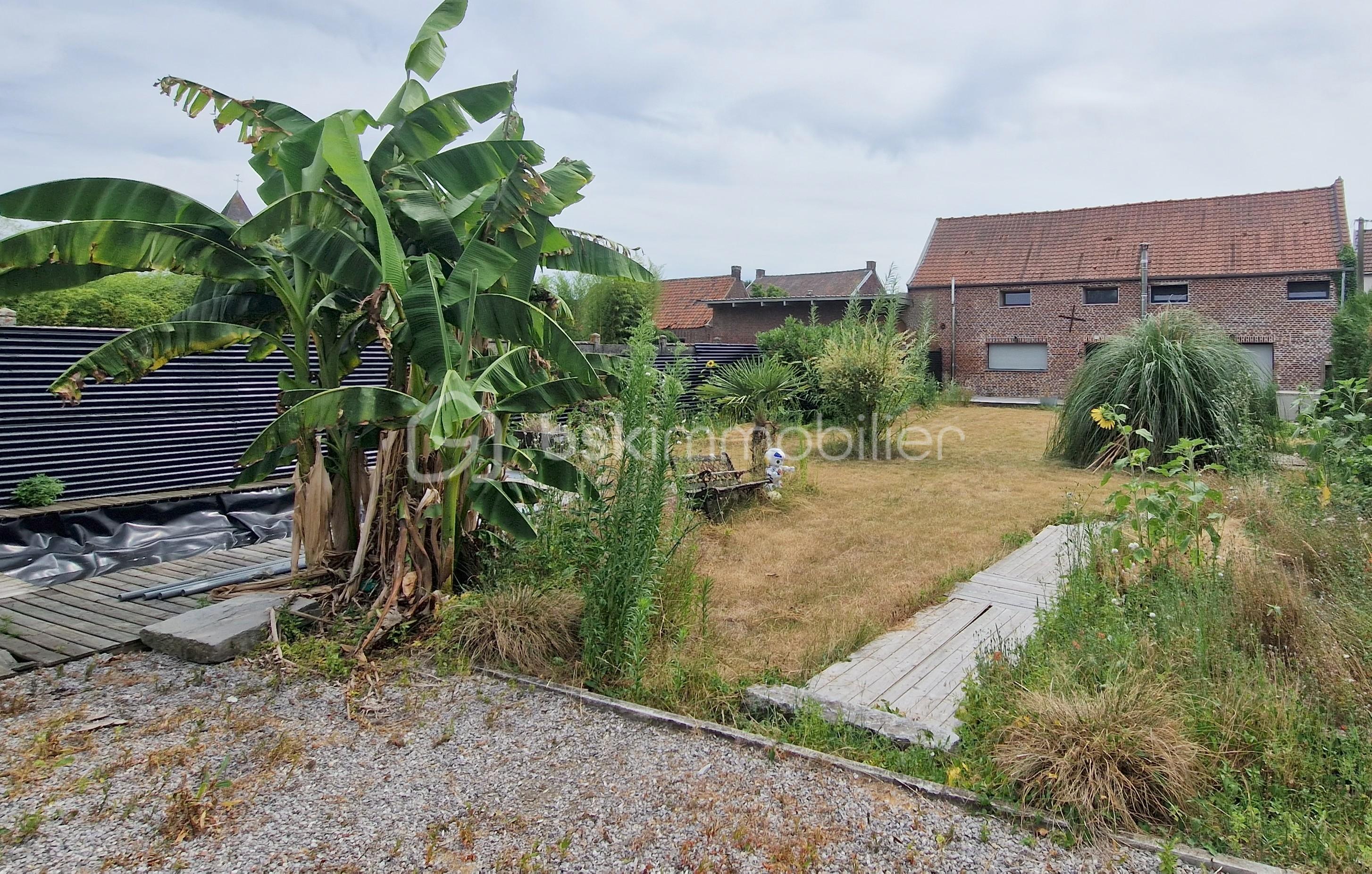 jardin.jpg
