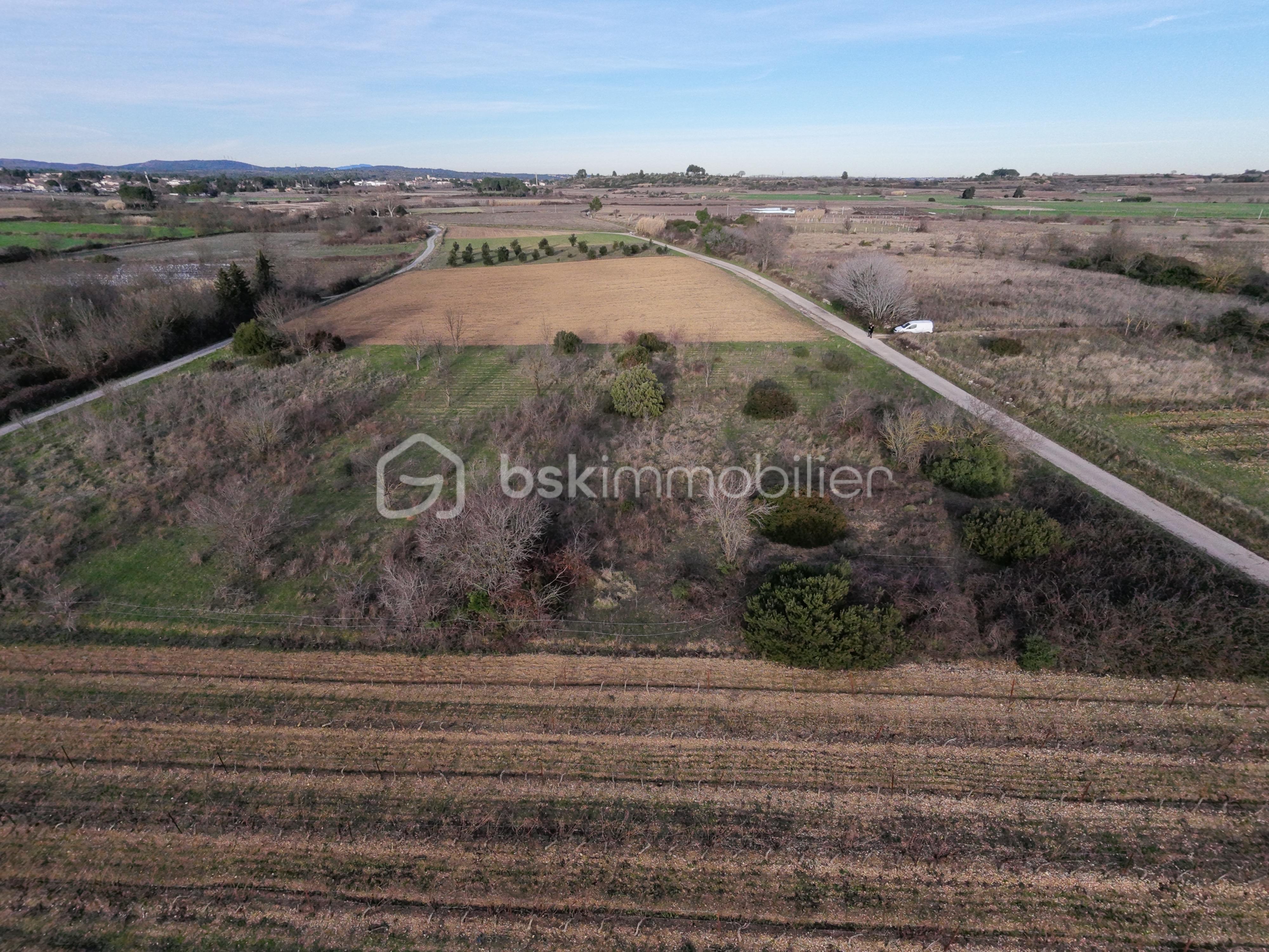 Terrain agricole de 2 422 m² - dji_fly_20260126_162918_0090_1769444073655_photo_beautify.jpeg