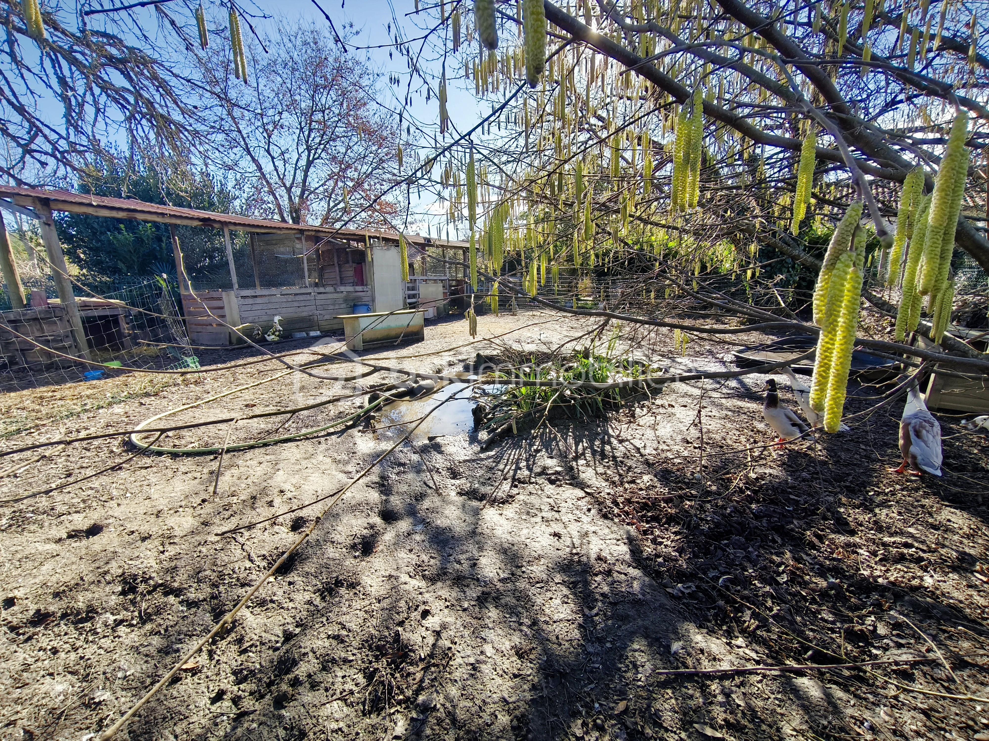 Propriete de 225 m² - MVIMG_20260123_115913.jpg