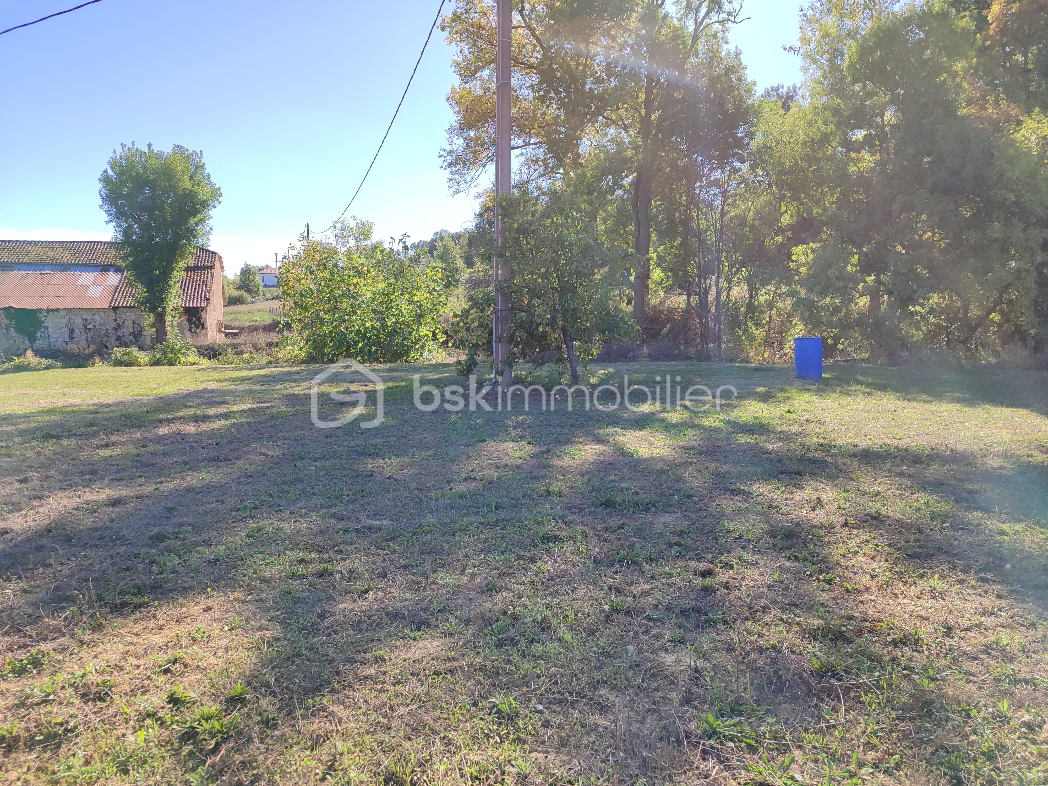 Terrain de 8 000 m² - 1759158730675.jpg