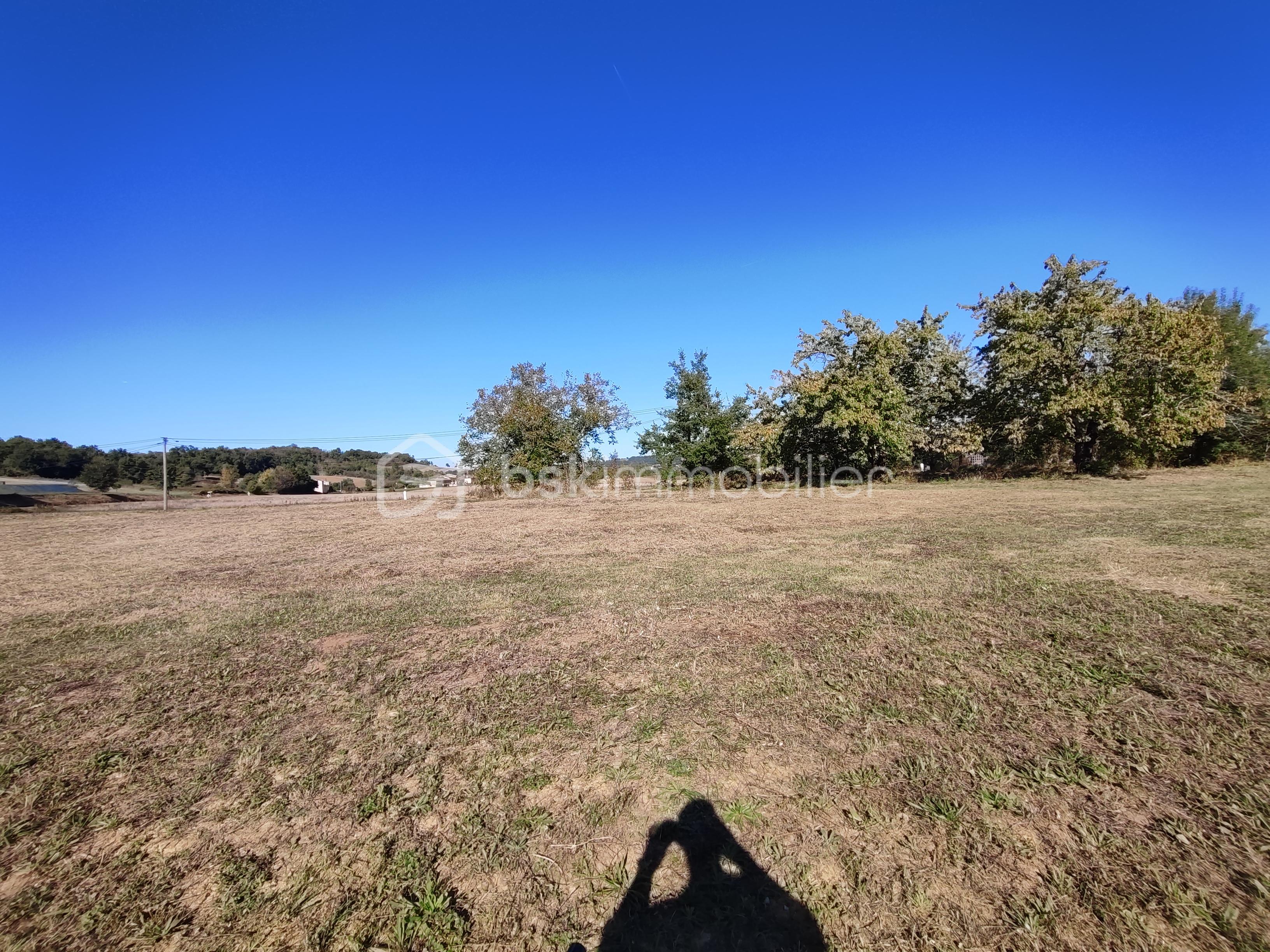 Terrain de 8 000 m² - 1759158730363.jpg