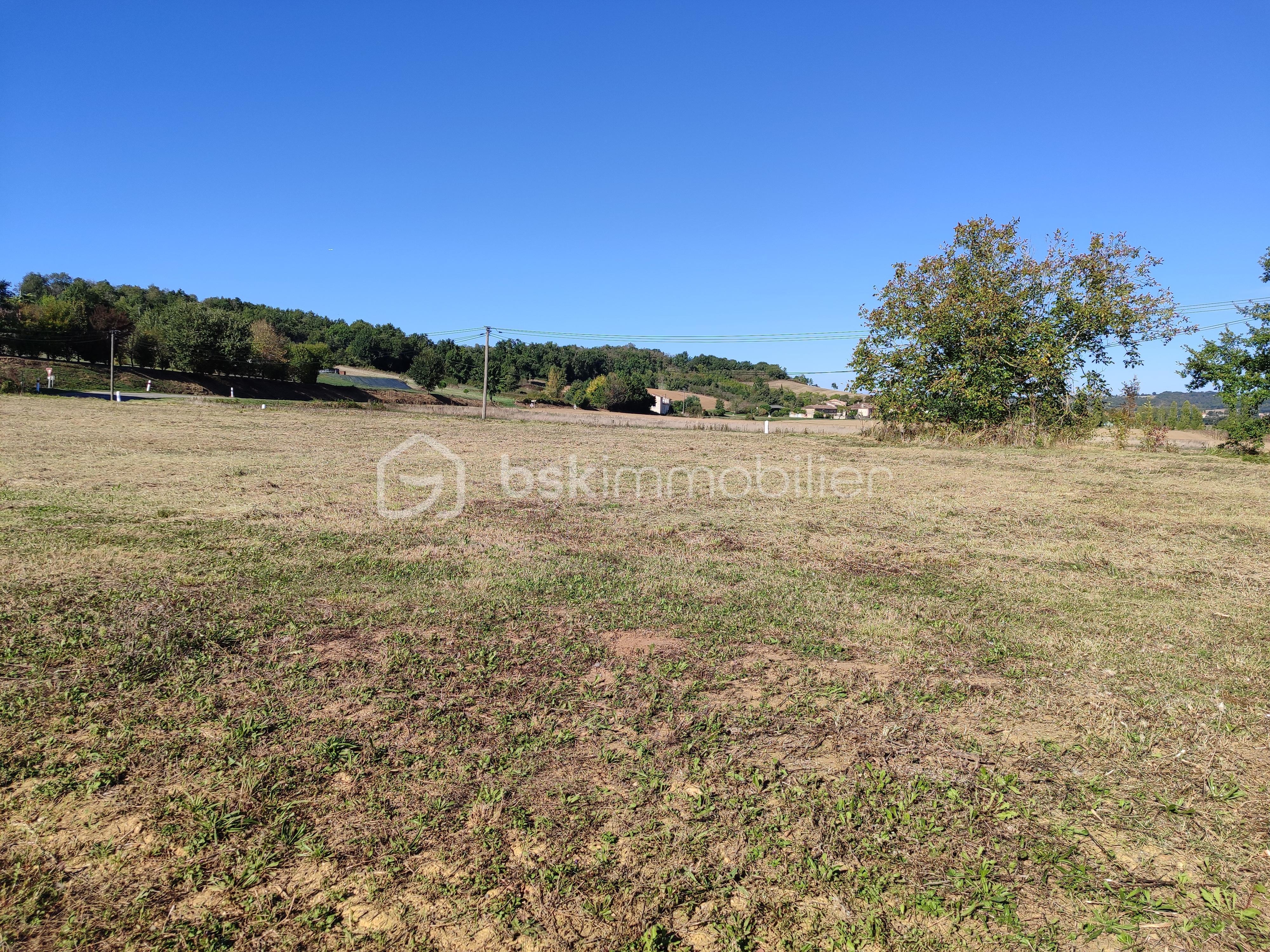 Terrain de 8 000 m² - 1759158730997.jpg