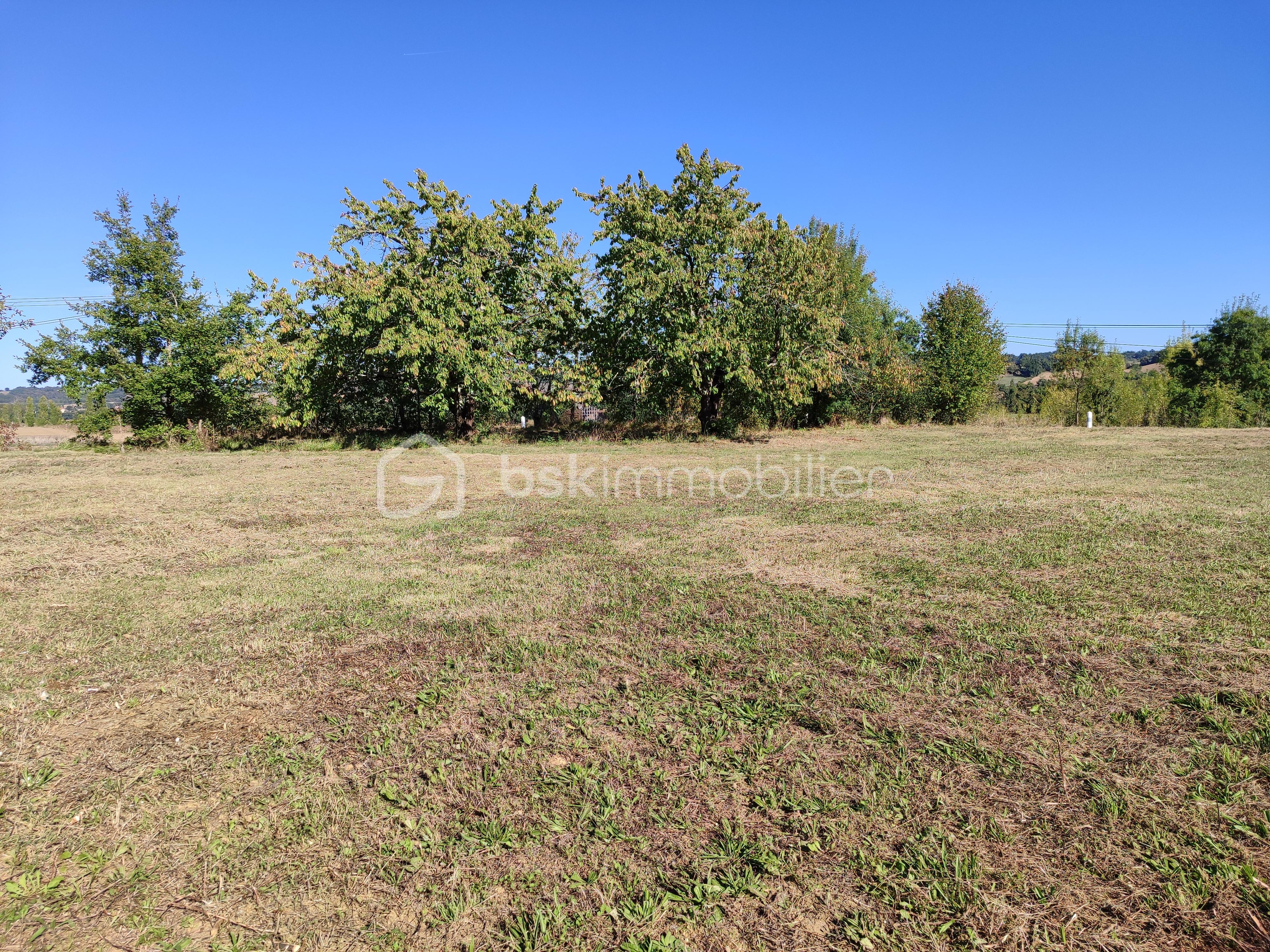 Terrain de 8 000 m² - 1759158731144.jpg