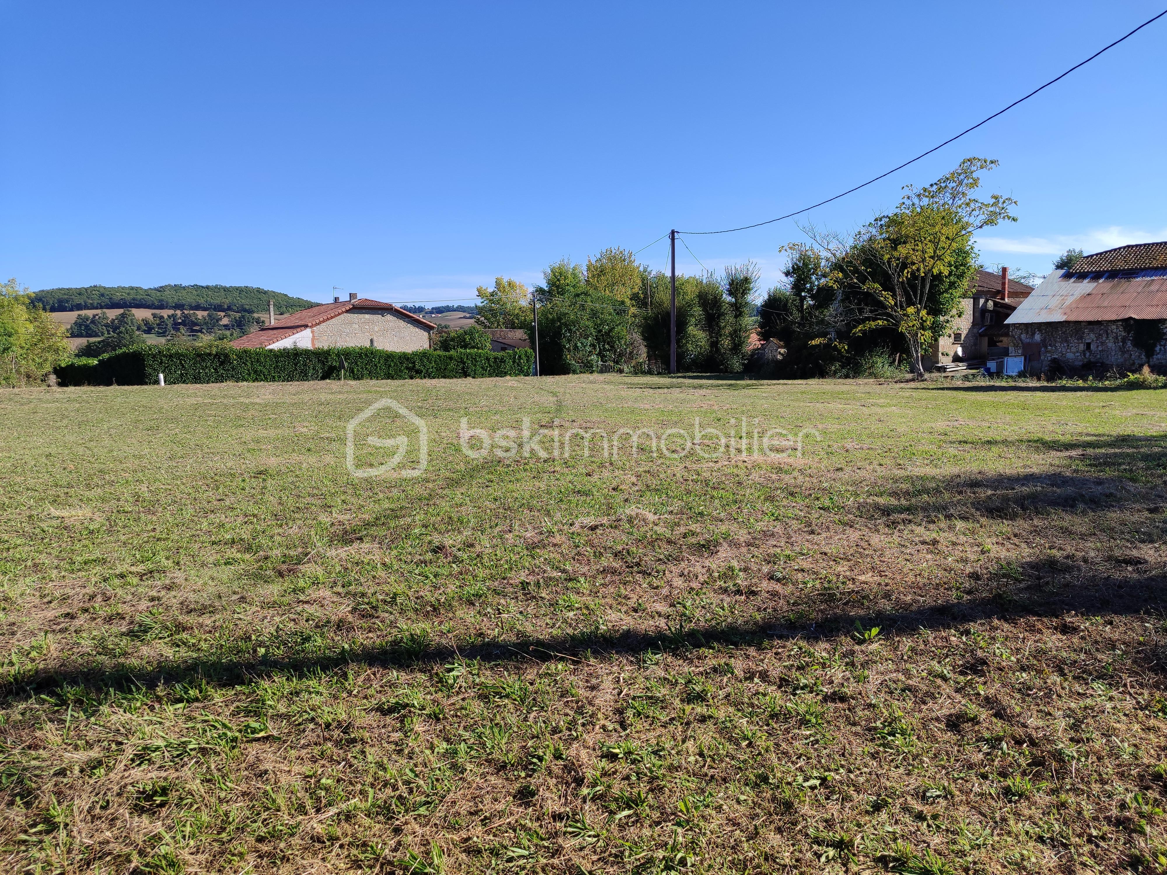 Terrain de 8 000 m² - 1759158731214.jpg