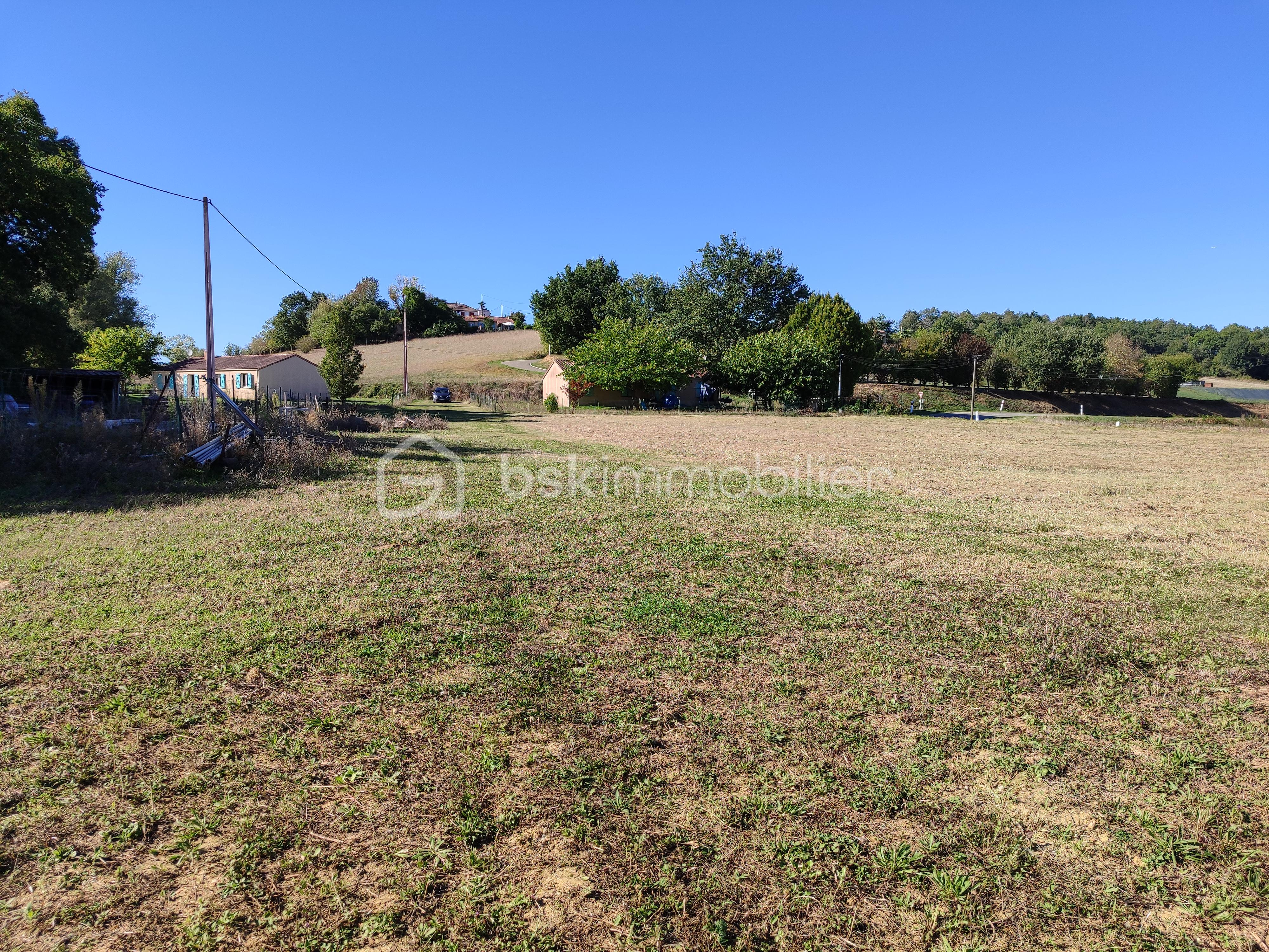 Terrain de 8 000 m² - 1759158730872.jpg