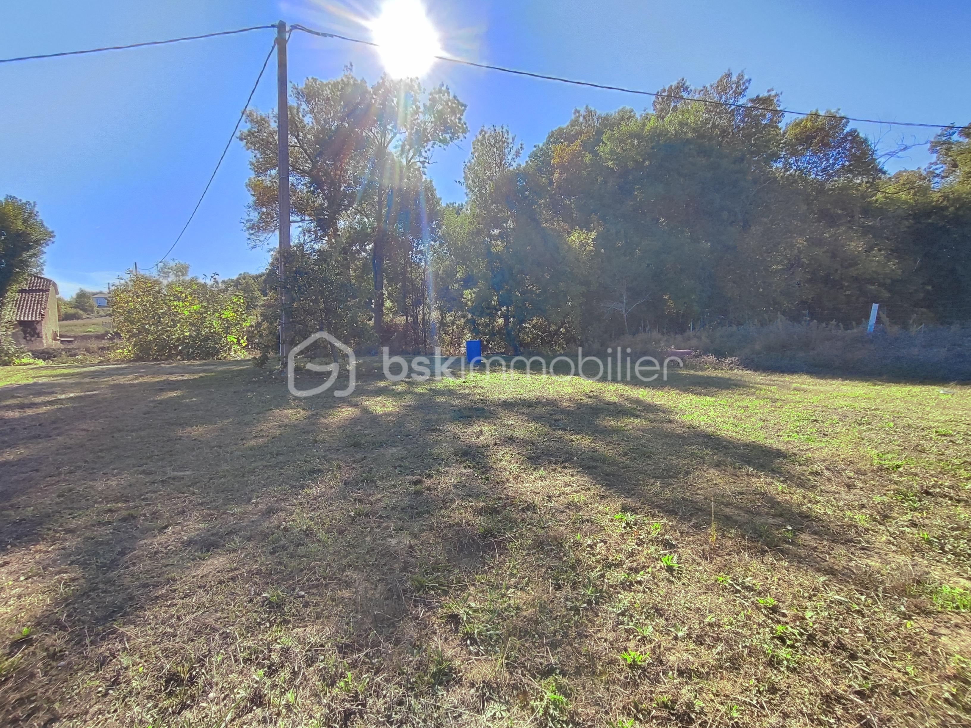 Terrain de 8 000 m² - 1759158730571.jpg