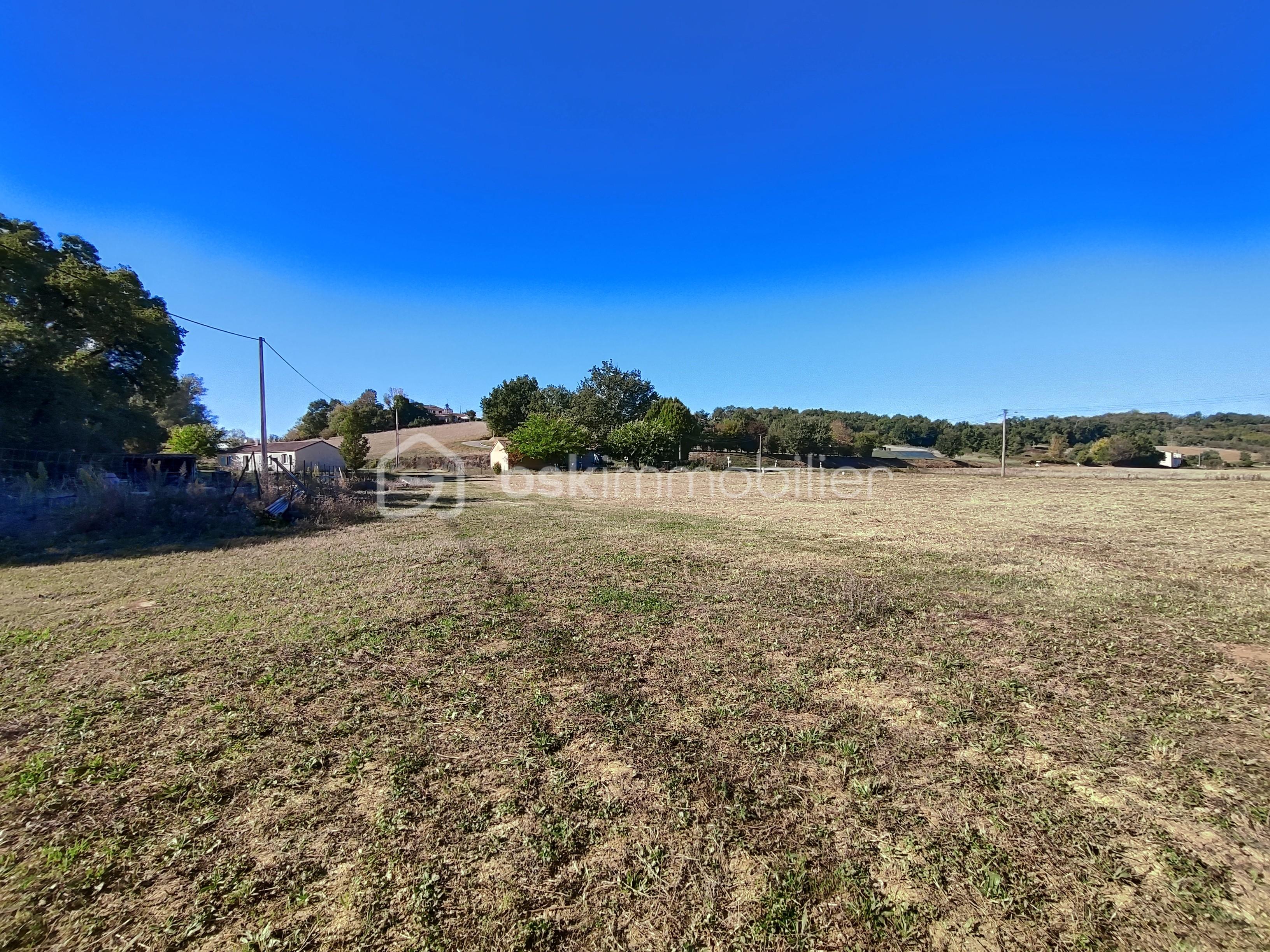 Terrain de 8 000 m² - 1759158730459.jpg