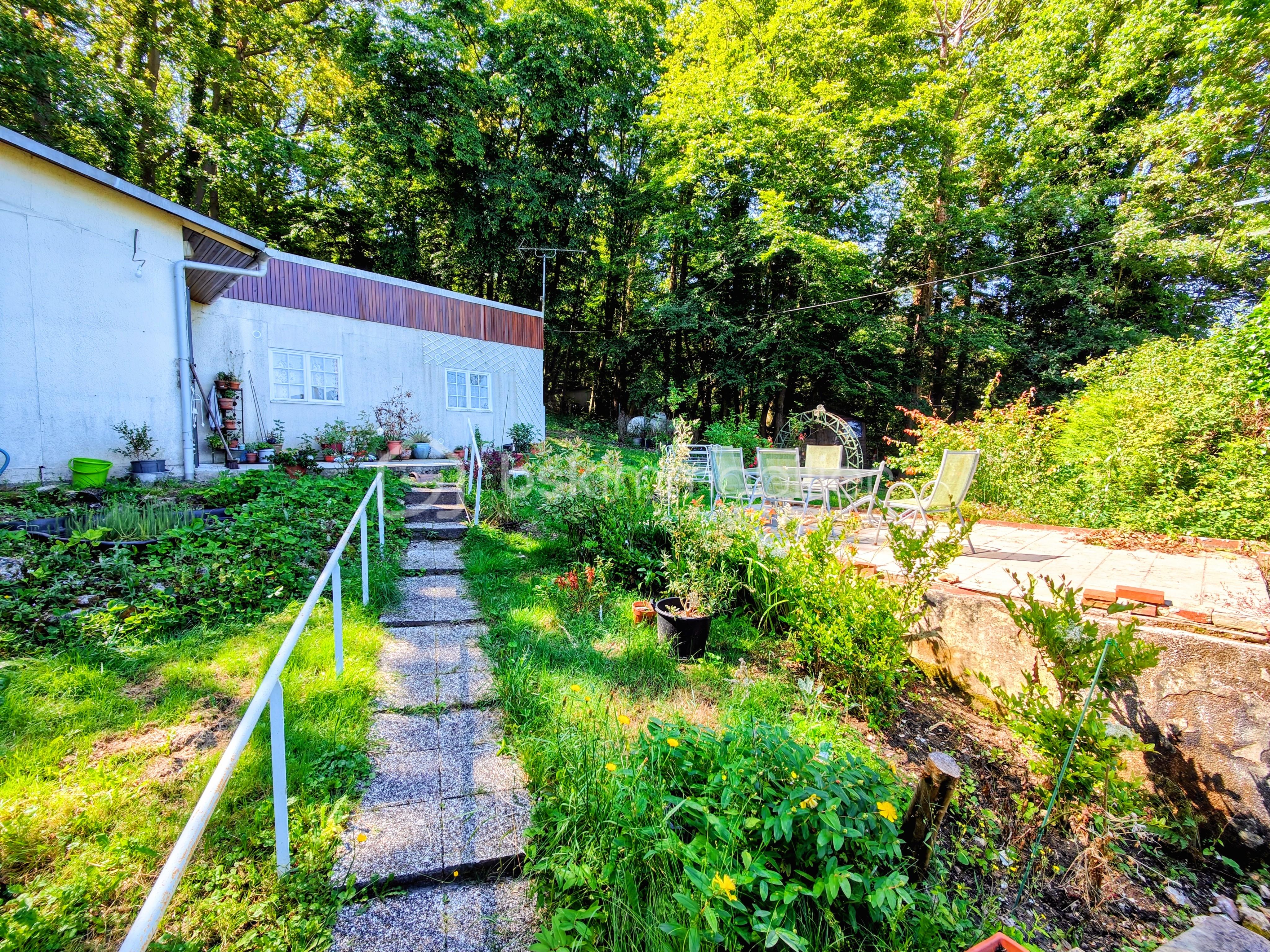 Maison de 51 m² - IMG20240624112724~2.jpg