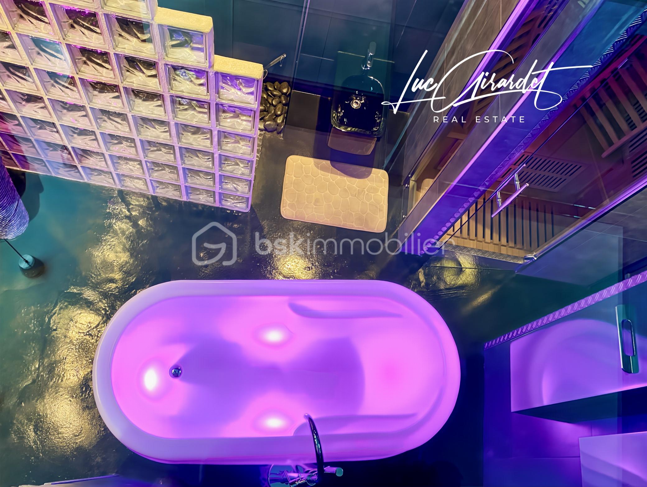 BAIGNOIRE VUE DU SALON.jpg