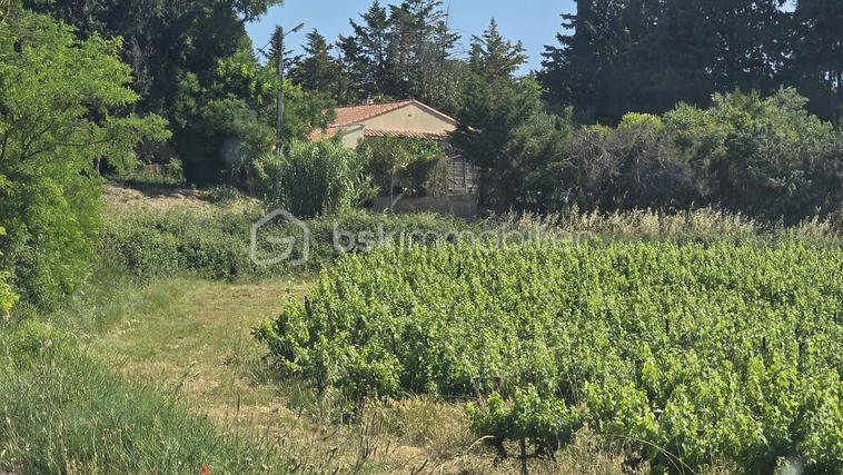 Maison 5 pièces 105 m² · à Saint-Pargoire · 105 m² · 313 000 €