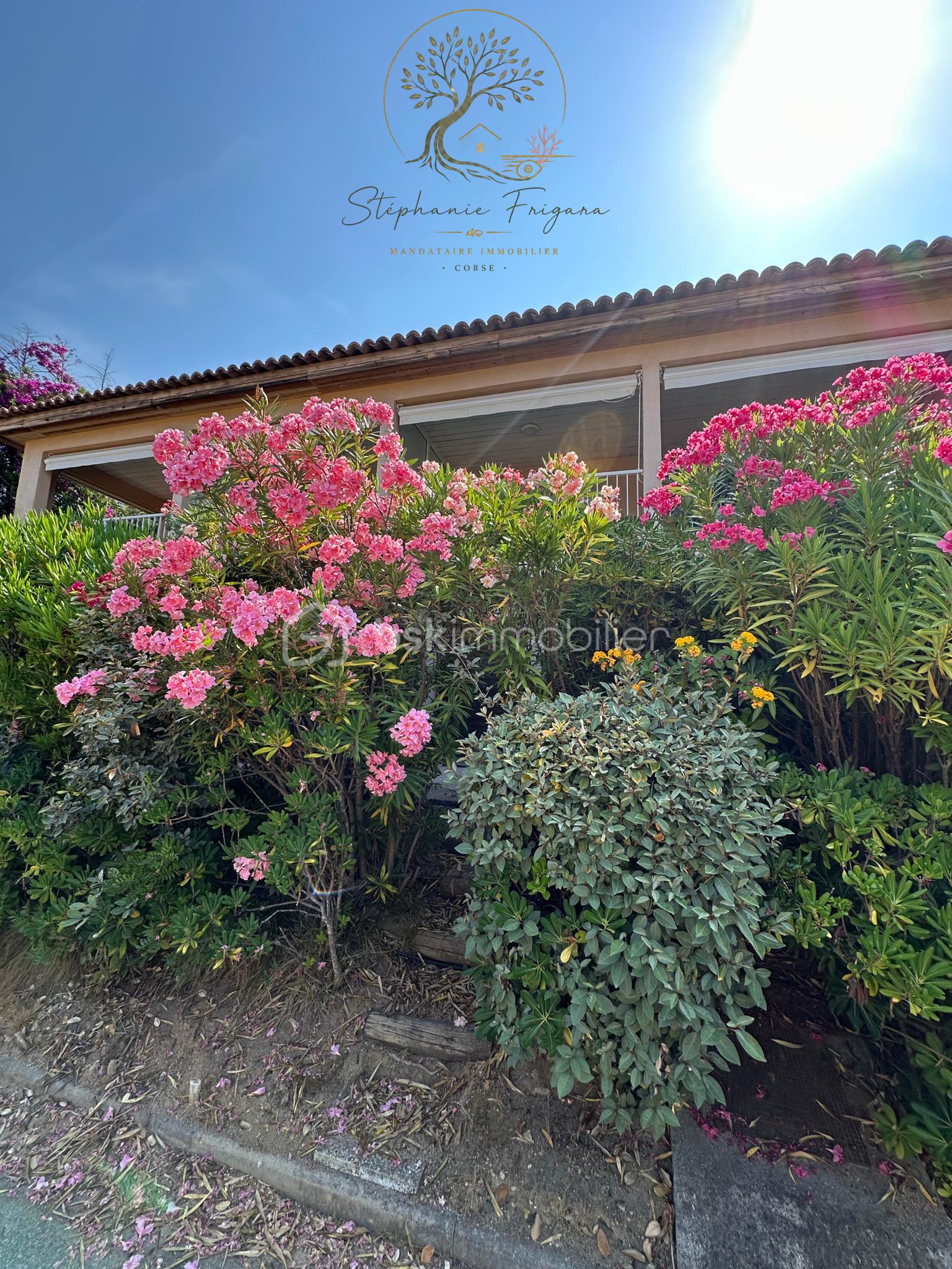 6 Stéphanie Frigara immobilier Corse.png