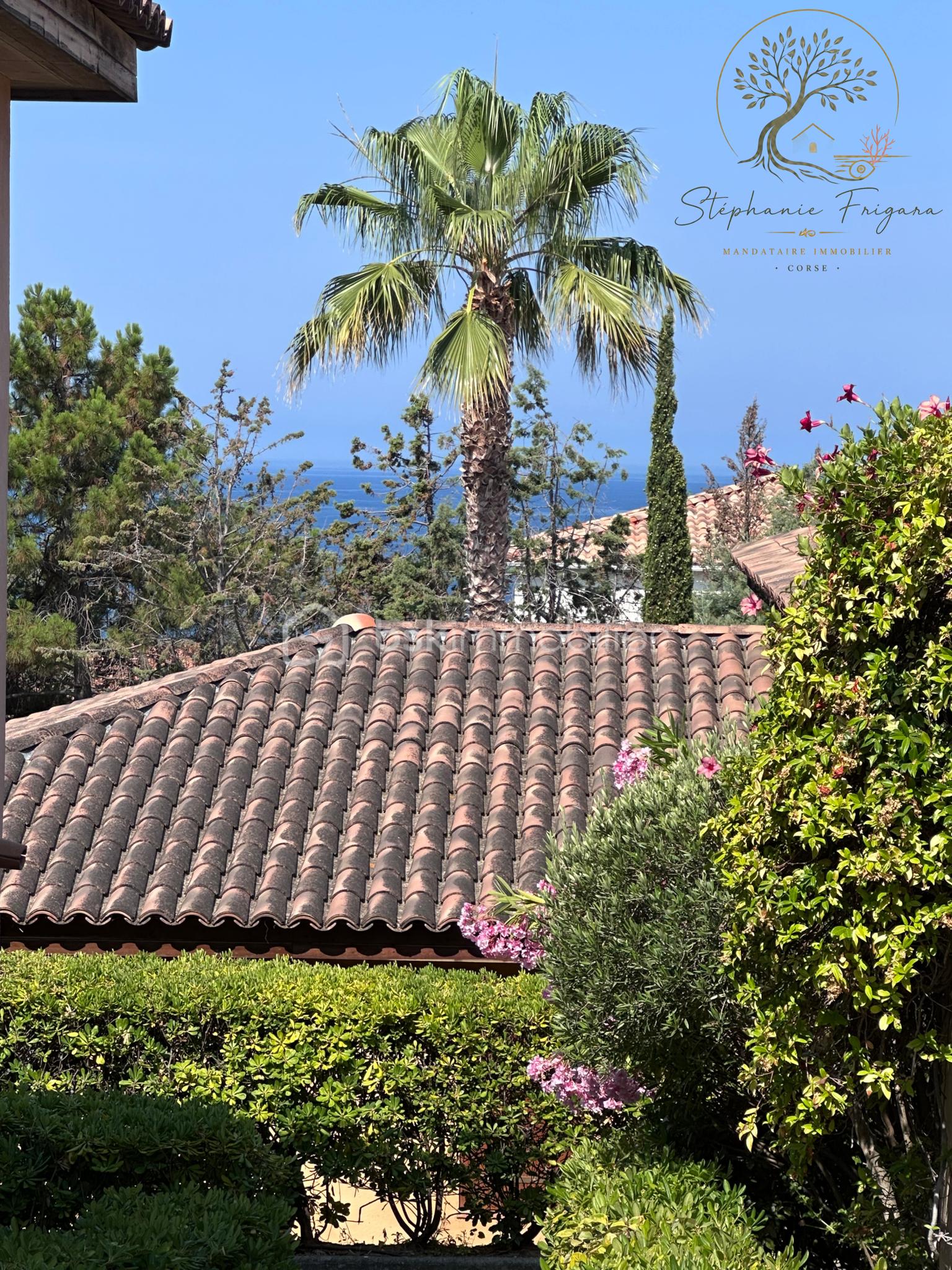 1 Stéphanie Frigara immobilier Corse.png