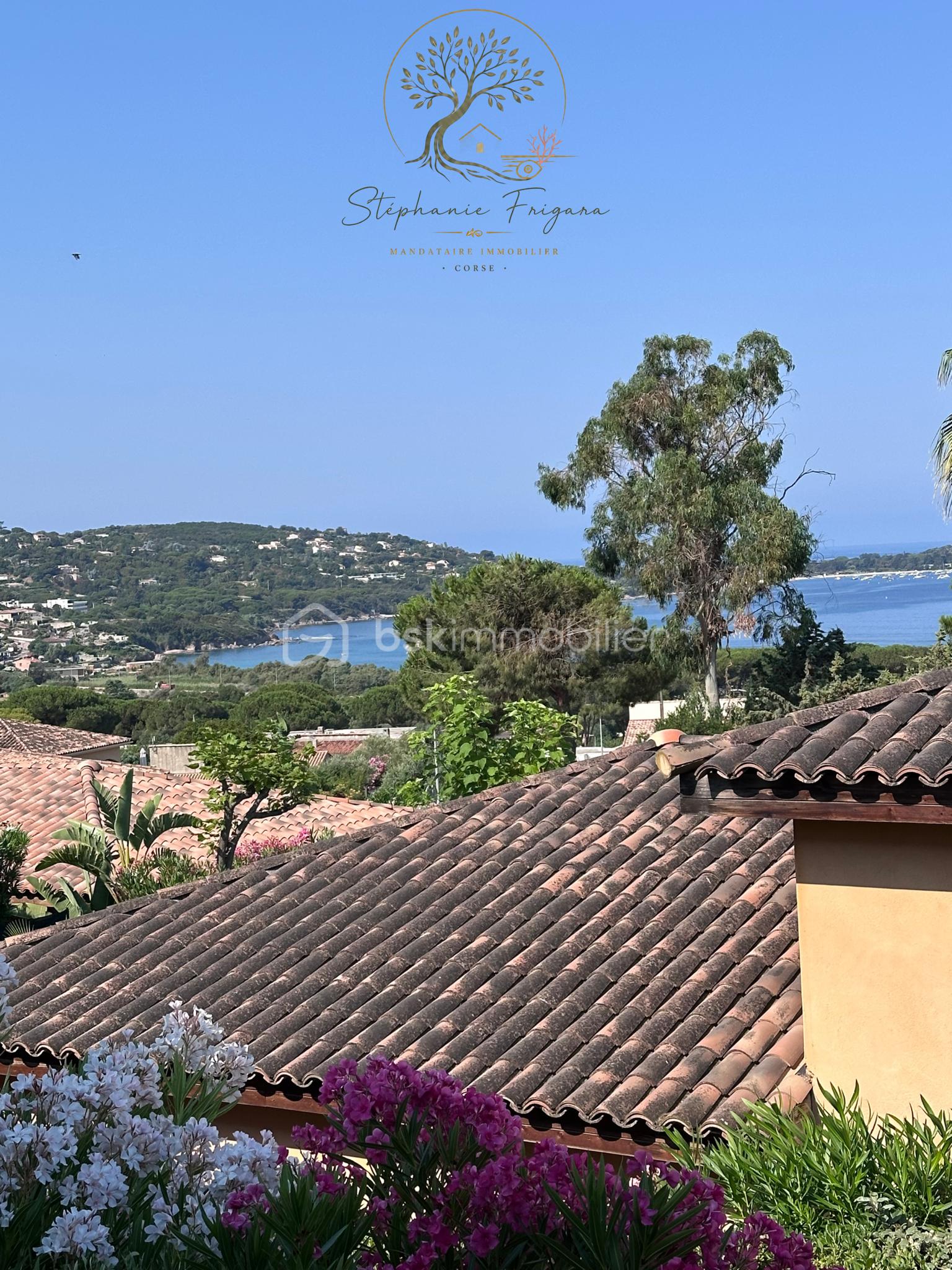 10 Stéphanie Frigara Immobilier Corse.png