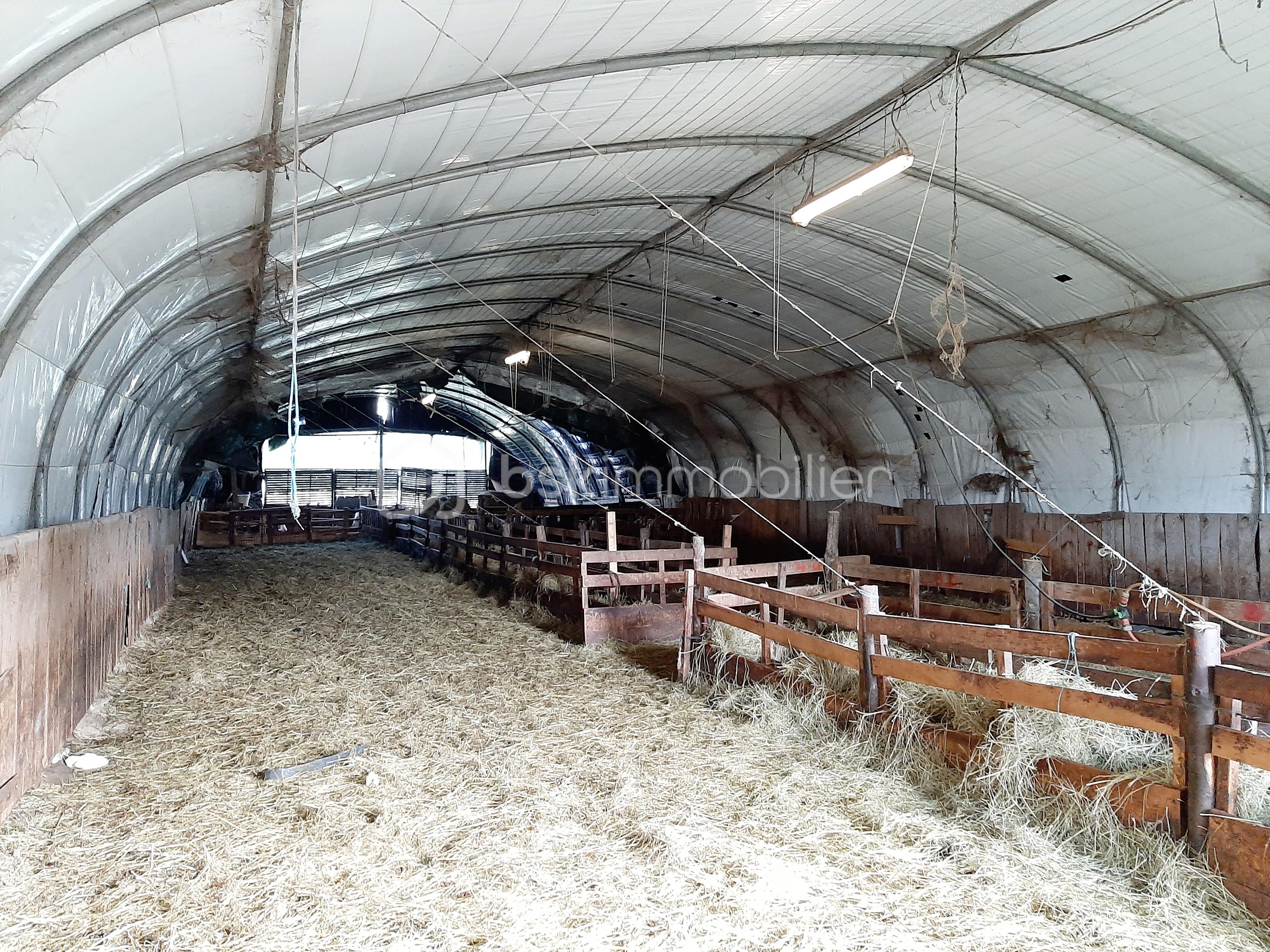 Corps de ferme de 123 m² - tunnel.jpg