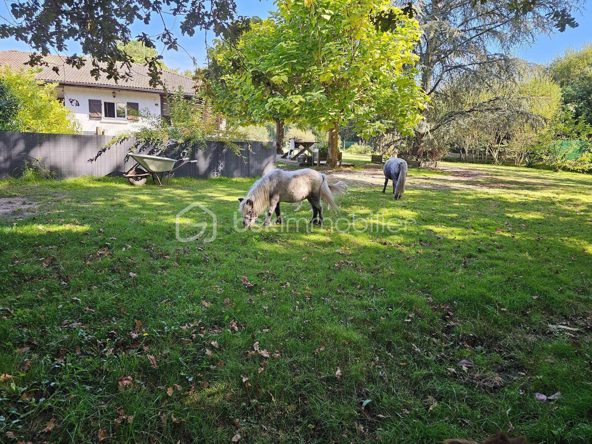 Maison de 124 m² - Jardin derriere.jpg