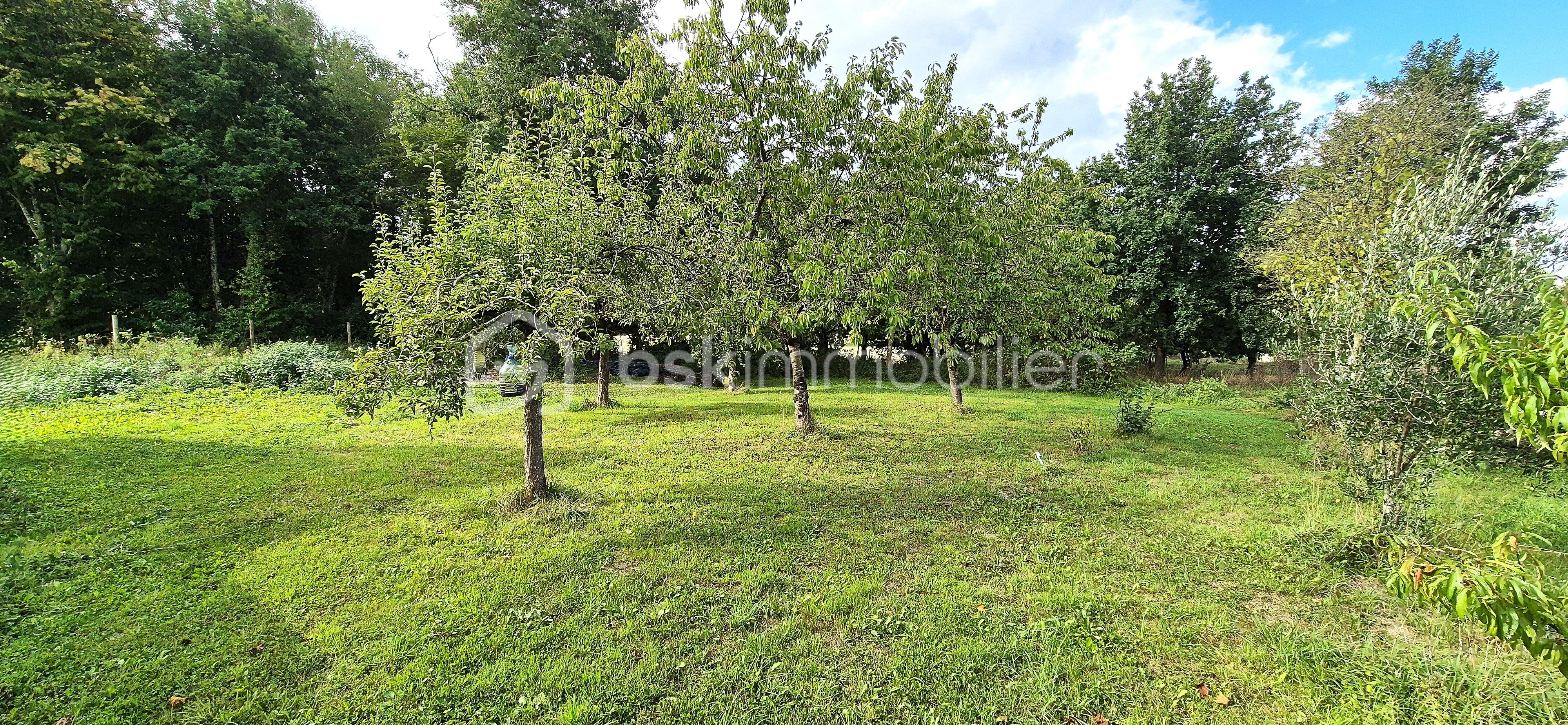 Corps de ferme de 160 m² - 20250831_173258.jpg