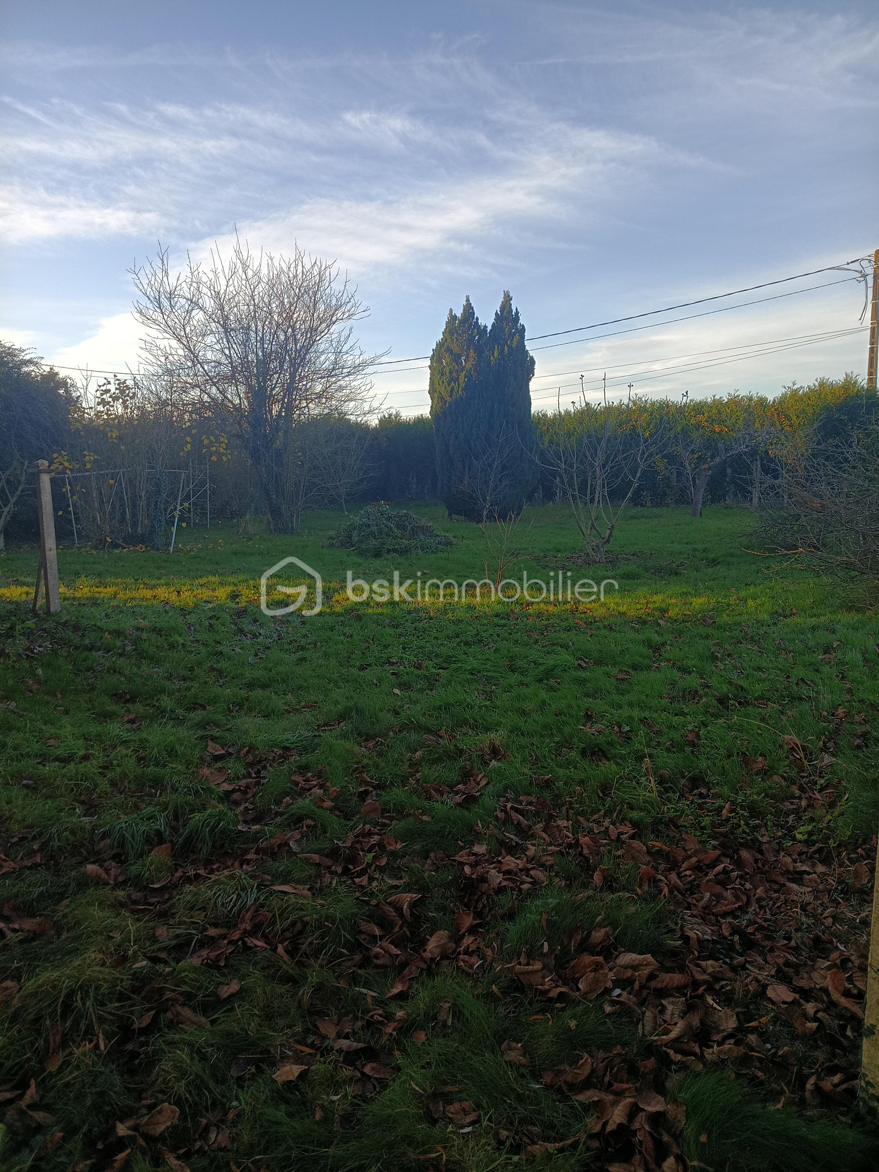 Maison de 73 m² - terrain.jpg