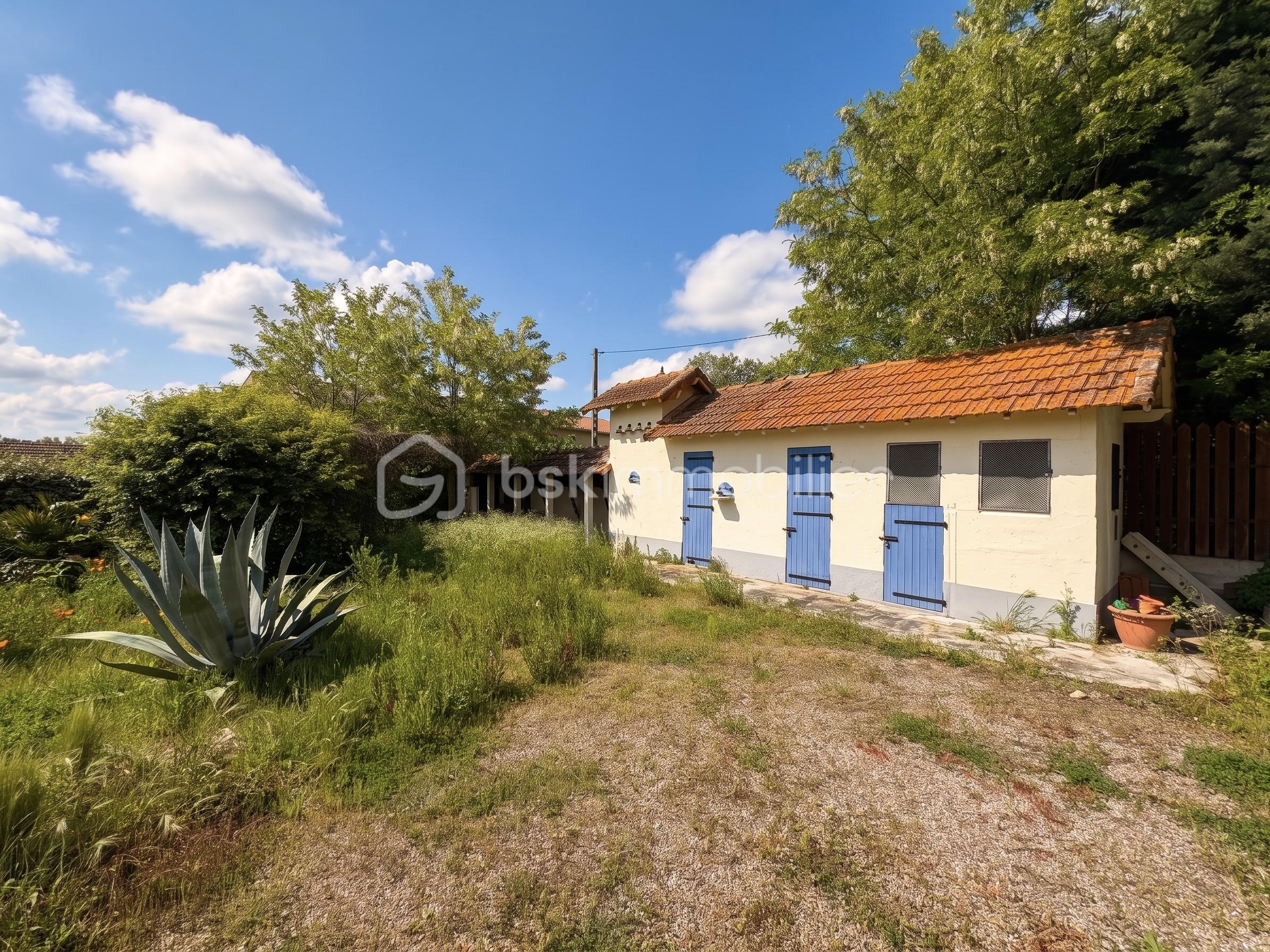 IMG_2892.jpeg