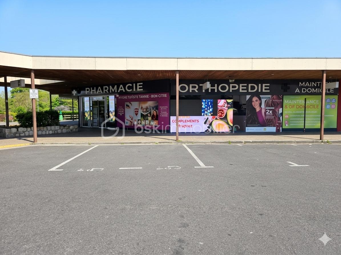 PARKING COPRO.png