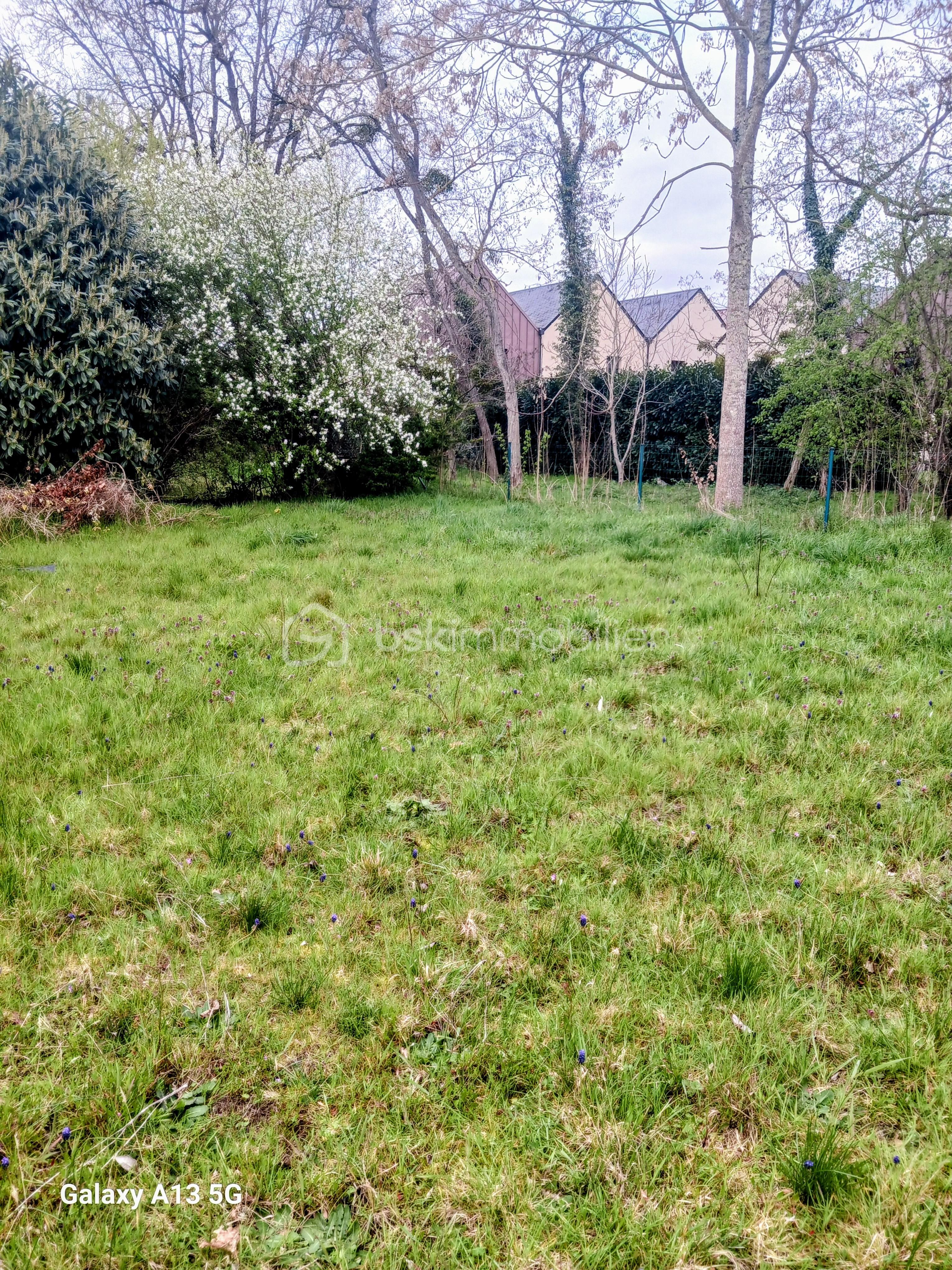 20e64019-754c-42fa-a4c2-9c0e8c0428cb~1 (1).jpg