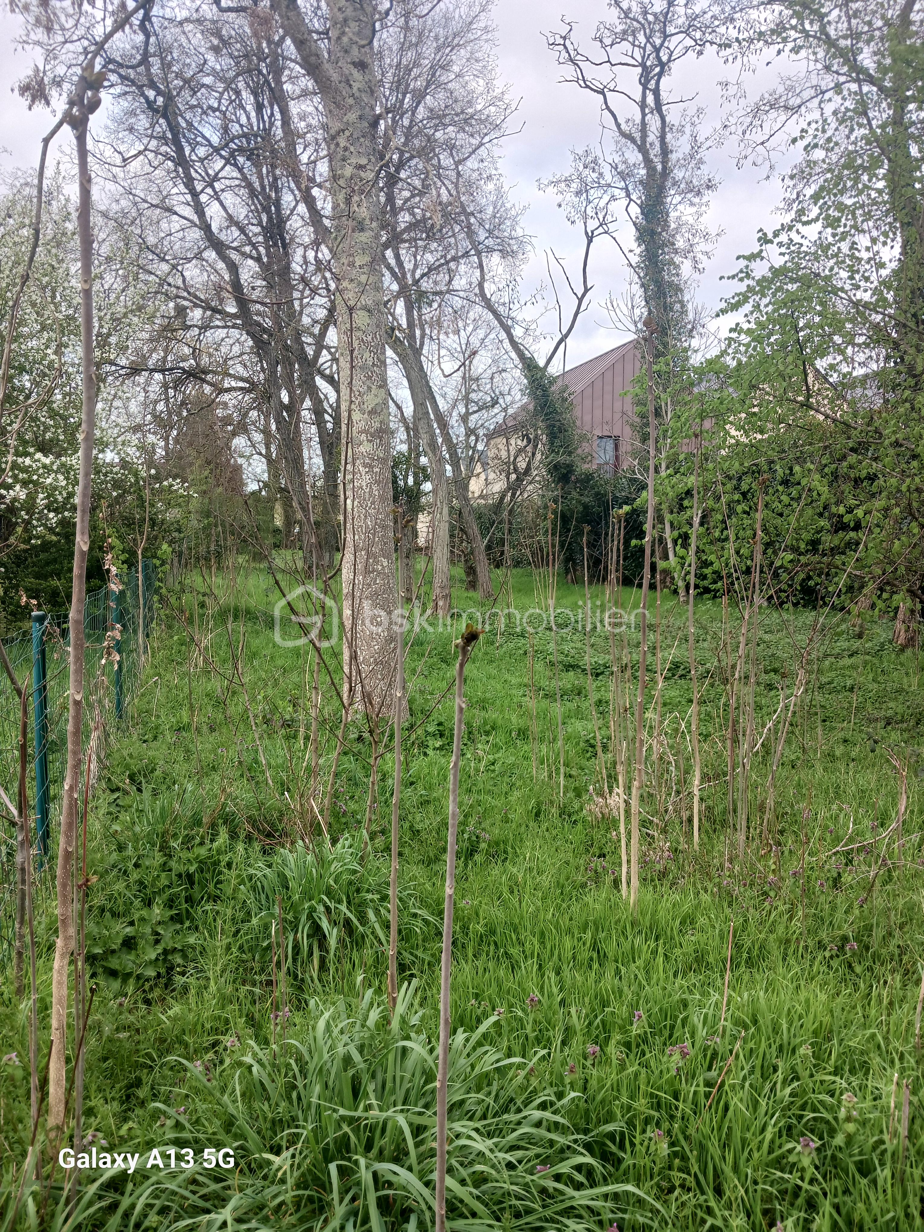 20260316_160931 (1).jpg