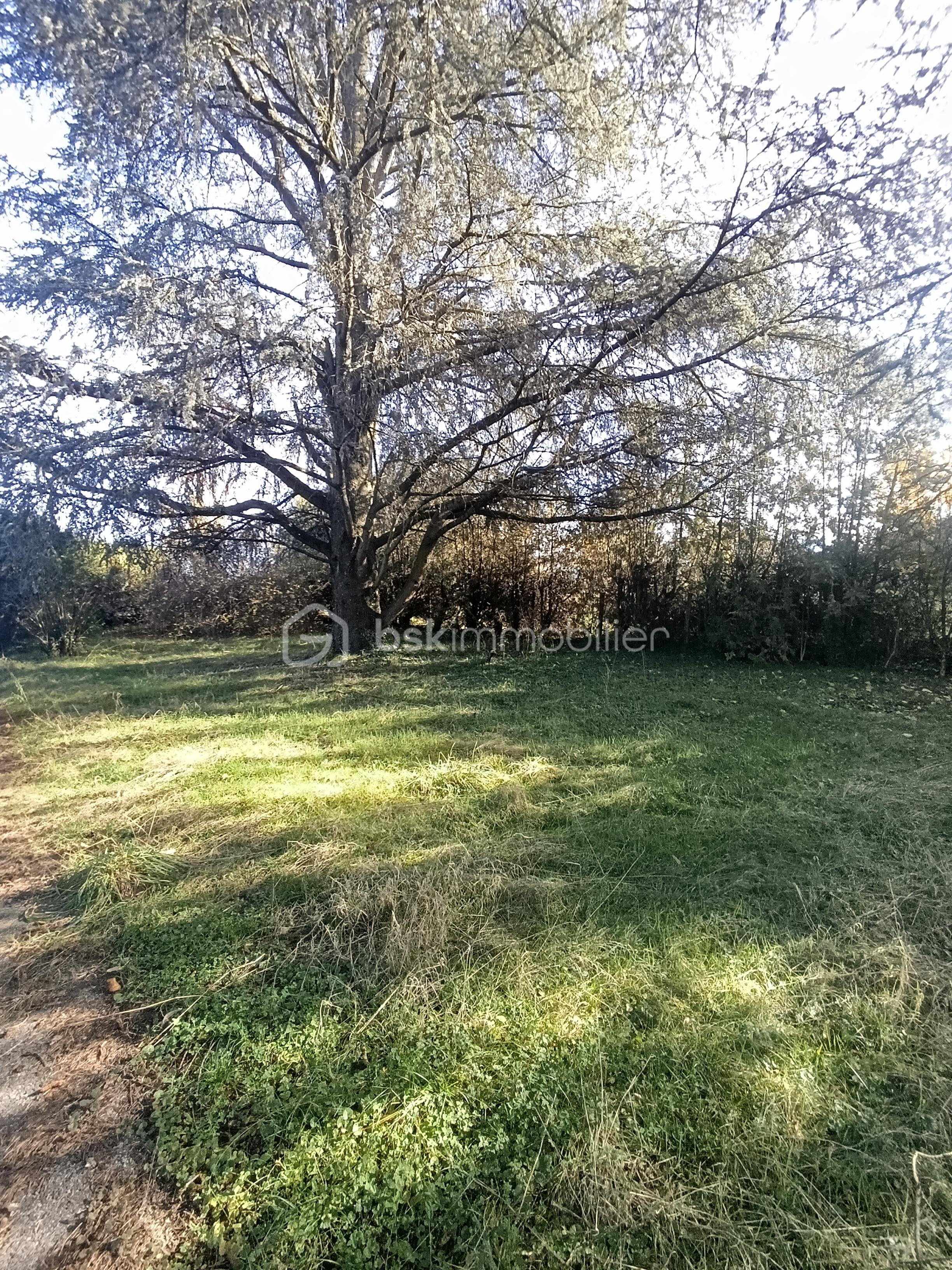 Maison de 123 m² - IMG_20251113_105153.jpg