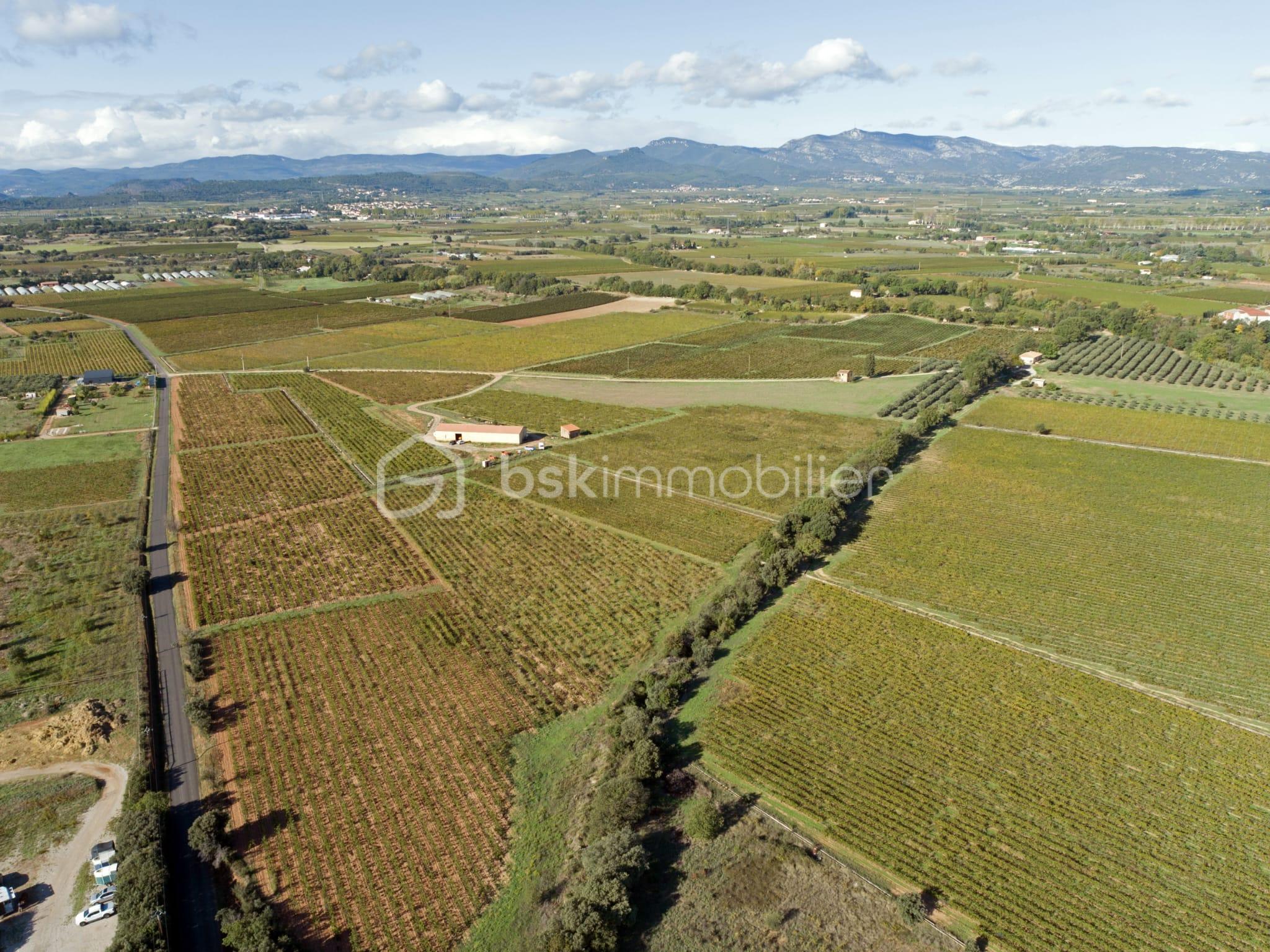 Maison de 400 m² - WhatsApp Image 2025-12-12 à 11.18.43_e90cd216.jpg