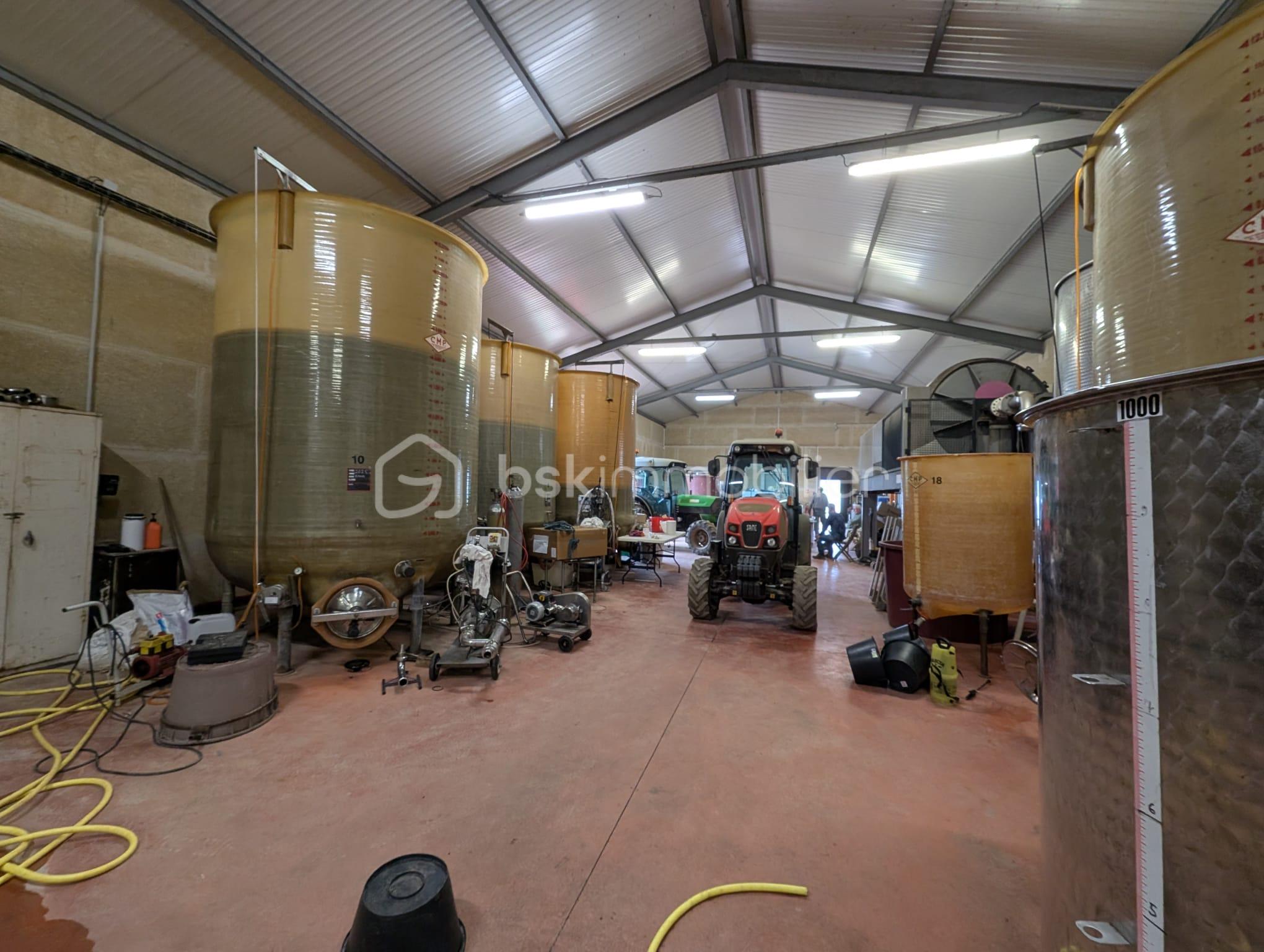 Exploitation viticole de 400 m² - WhatsApp Image 2026-01-13.jpeg