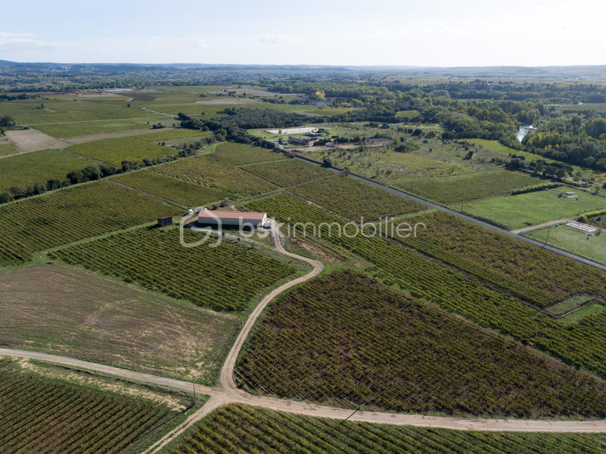 Maison de 400 m² - WhatsApp Image 2025-12-12 à 11.18.43_174147d0.jpg