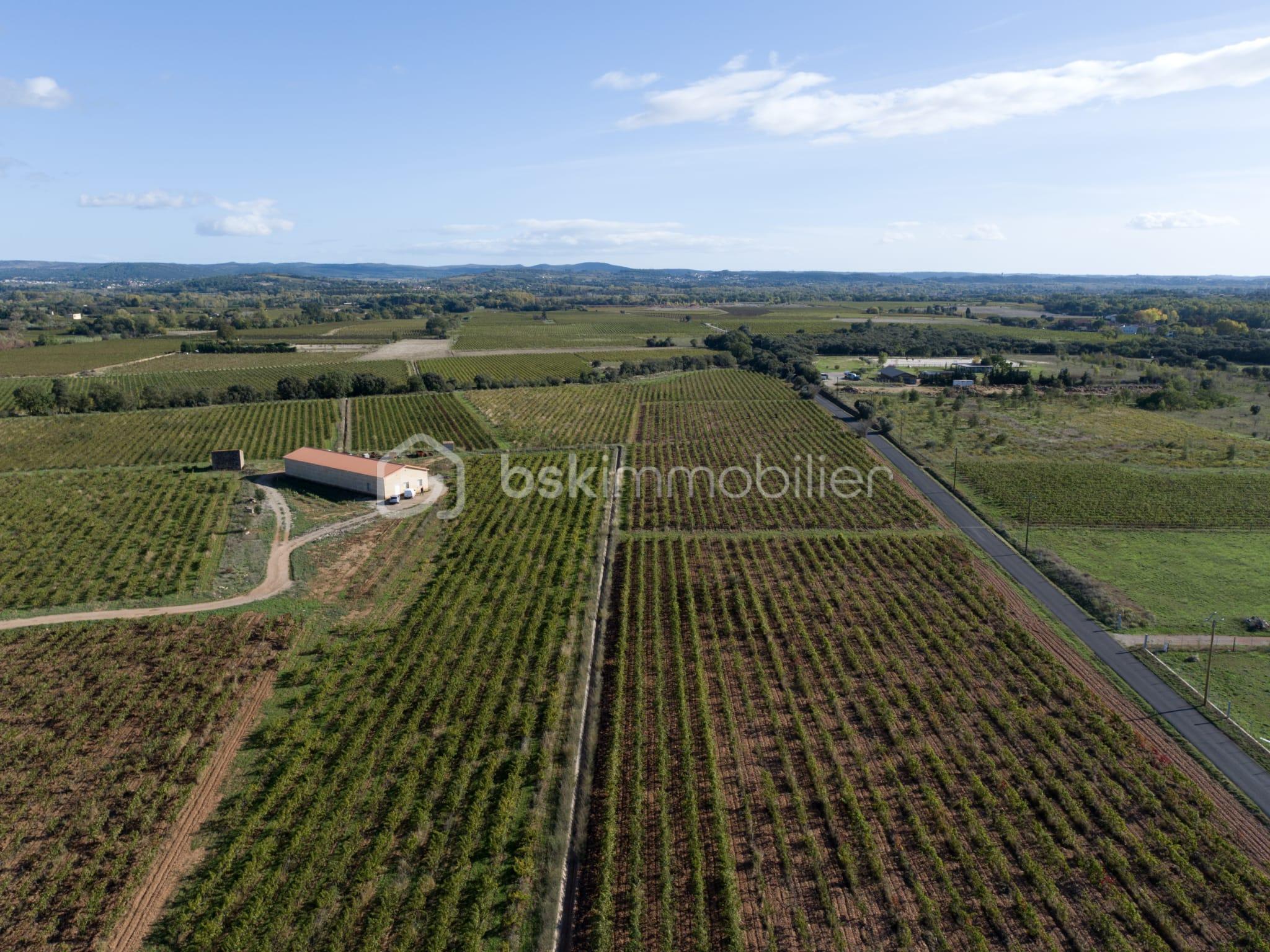 Maison de 400 m² - WhatsApp Image 2025-12-12 à 11.18.43_7f6c8a99.jpg