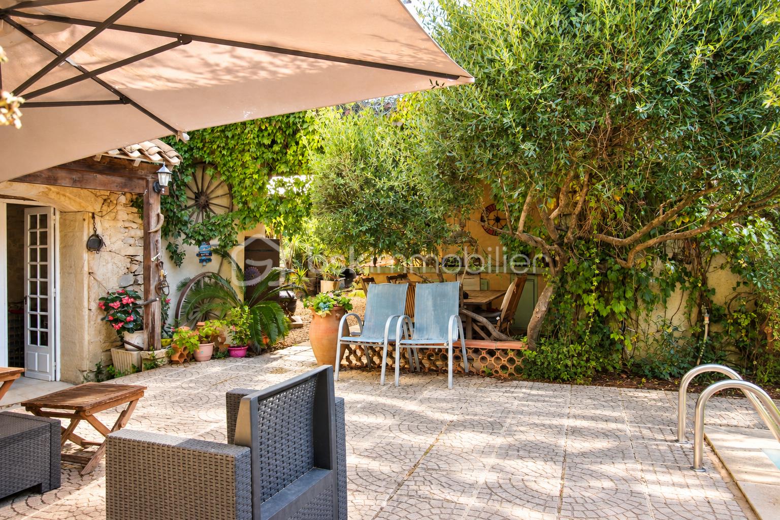 Patio méditerranéen sous les oliviers.png