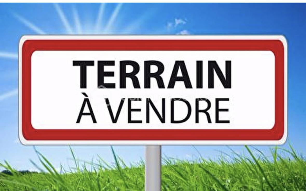 Terrain de 1 000 m² - IMG_4505.jpg