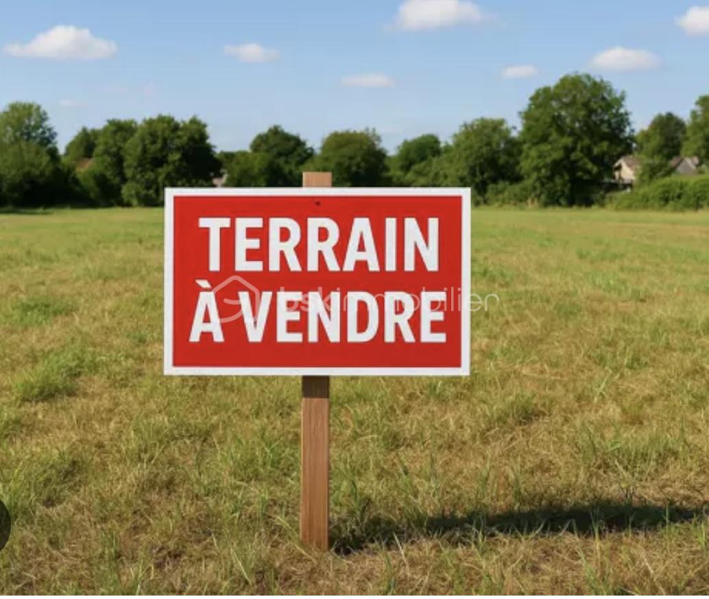 Terrain de 1 000 m² - IMG_4506.jpg