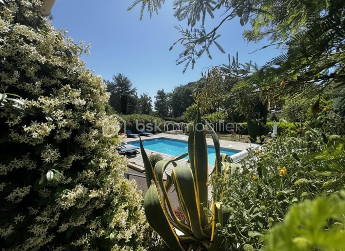 VUE PISCINE DE LA TERRASSE.jpeg