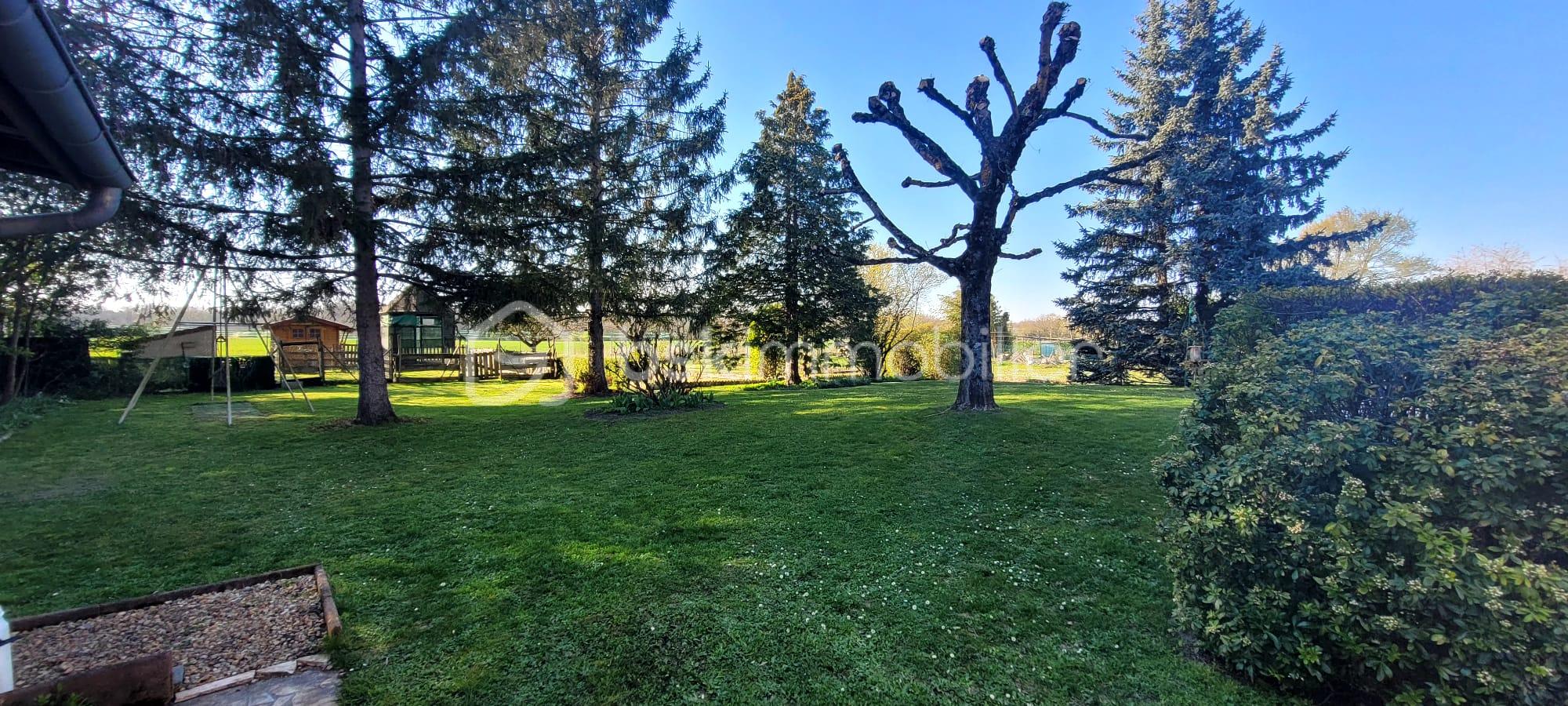 WhatsApp Image 2026-03-31 at 17.25.12.jpeg