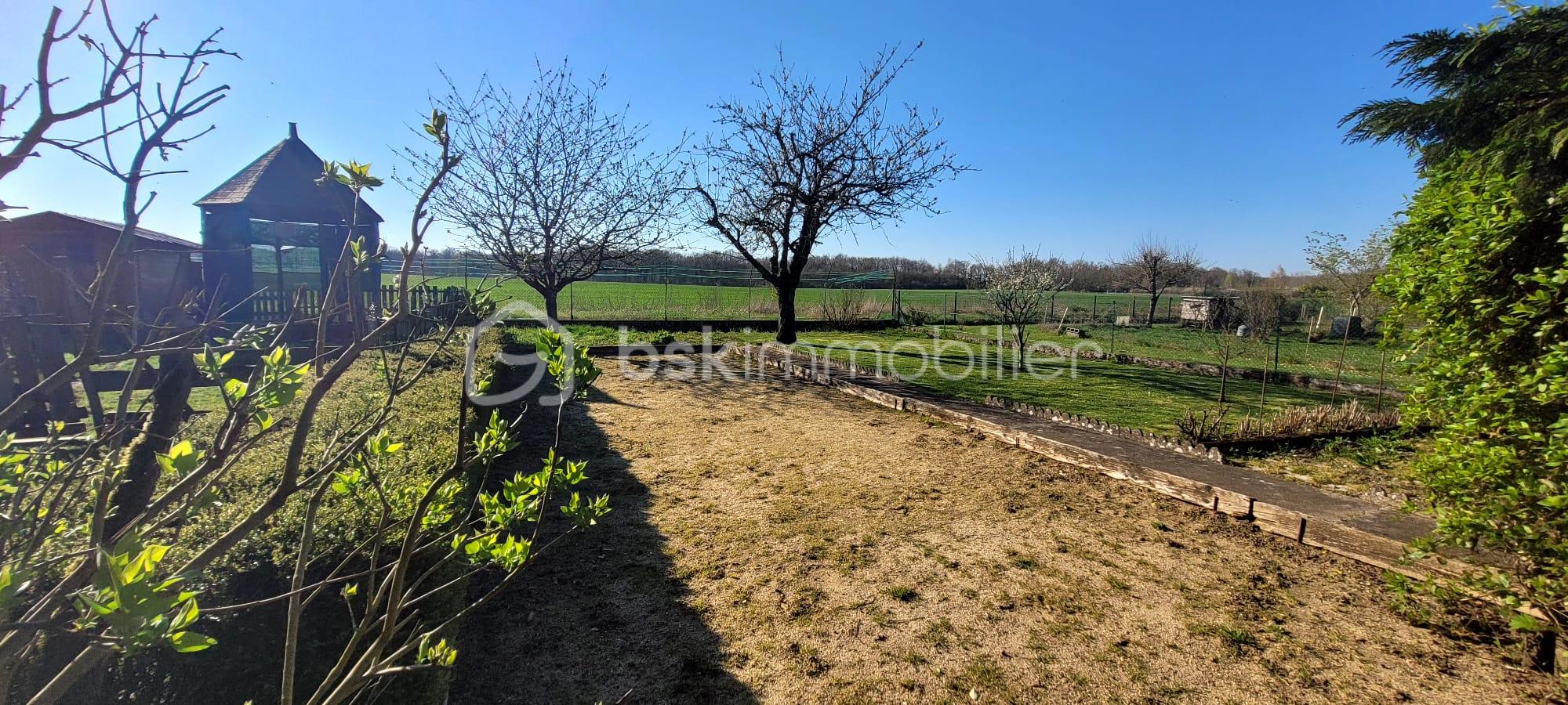 WhatsApp Image 2026-03-31 at 17.25.10 (2).jpeg