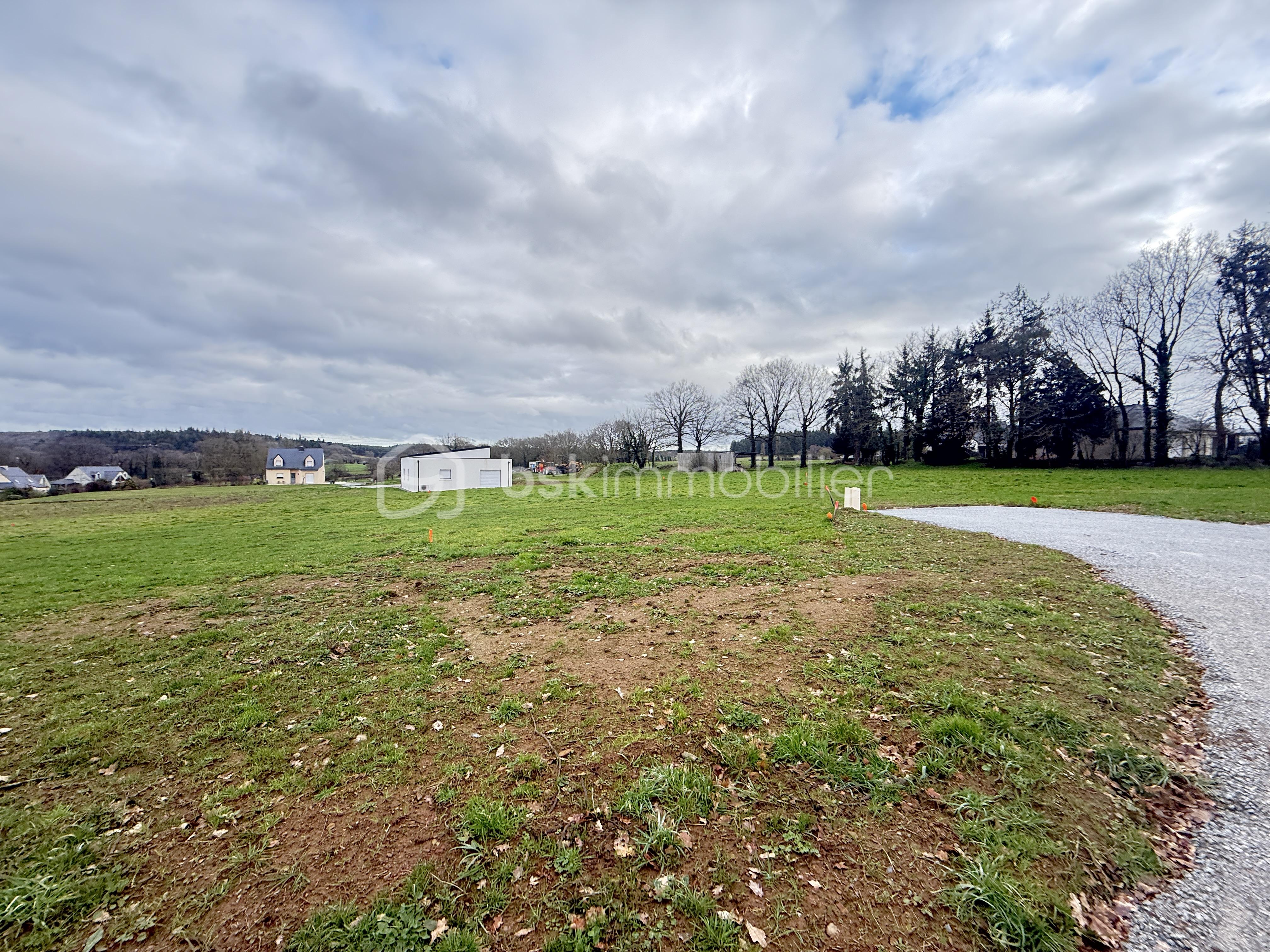 Terrain de 715 m² - IMG_8981.JPG