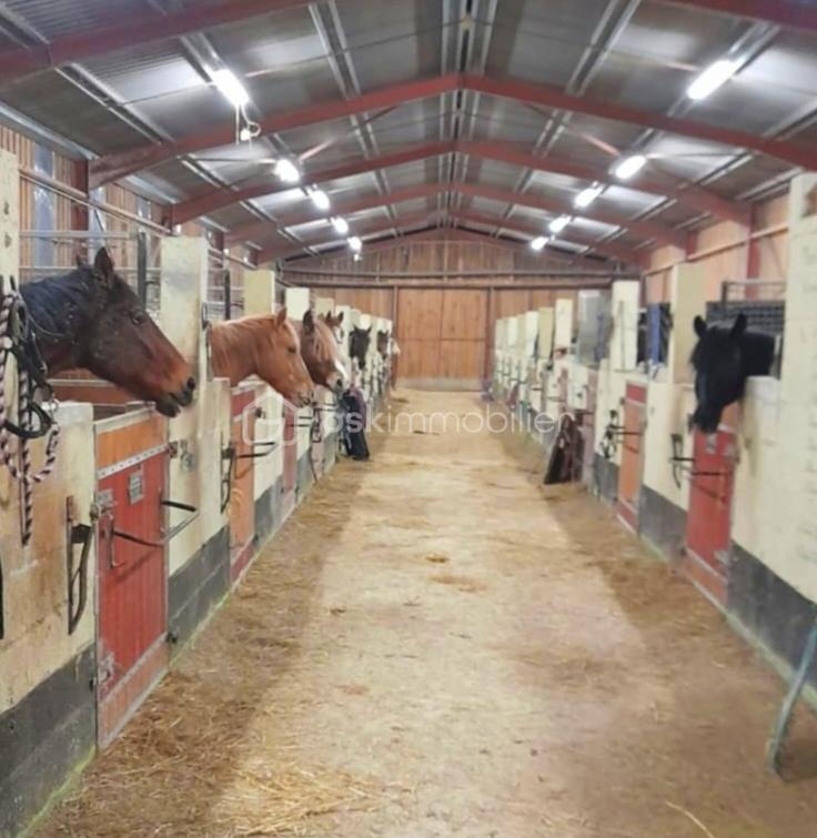 Propriete equestre de 2 112 m² - IMG-20251215-WA0029_edit_451635820671931.jpg