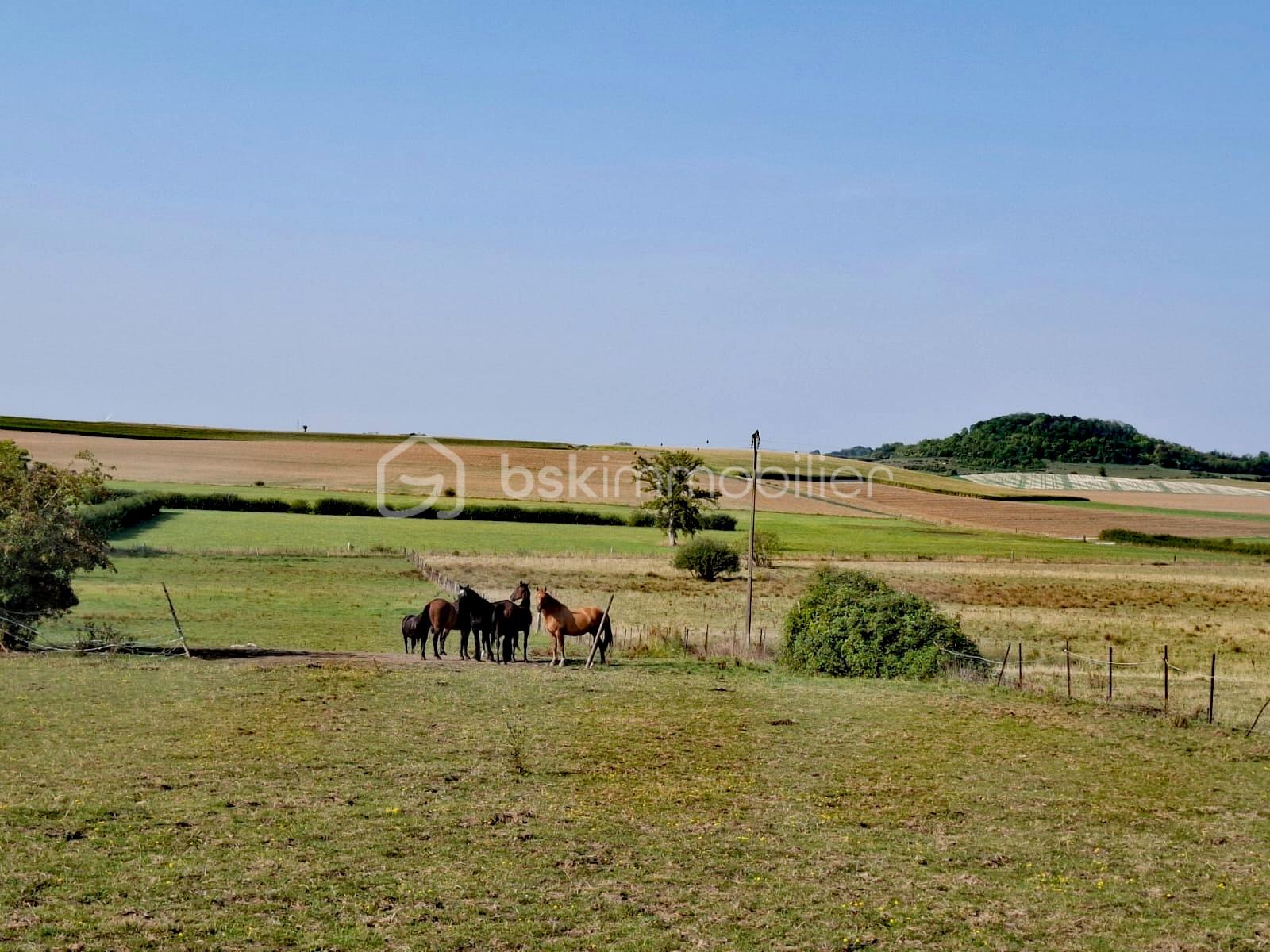 Propriete equestre de 2 112 m² - IMG_20251218_014706.jpg