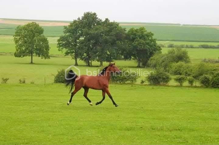 Propriete equestre de 2 112 m² - IMG-20251215-WA0025(1)_edit_451382364704111.jpg