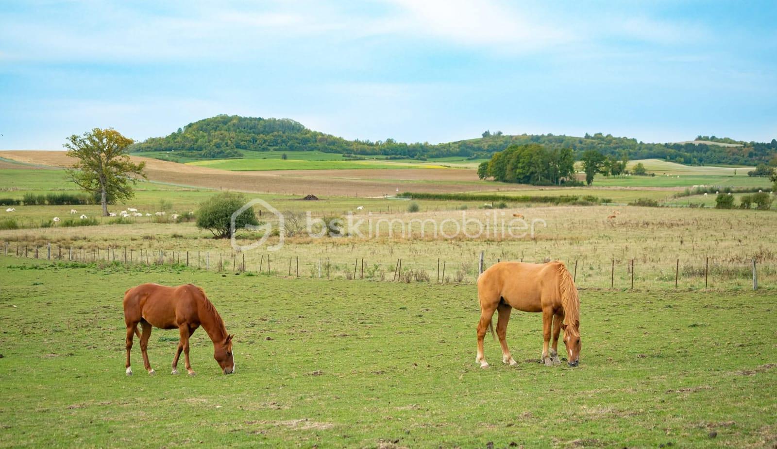 Propriete equestre de 2 112 m² - IMG-20251215-WA0030.jpg