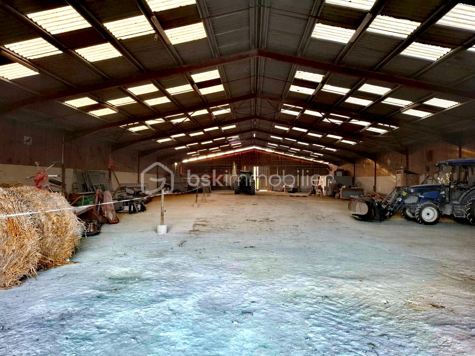 Propriete equestre de 2 112 m² - IMG_20251218_014803.jpg