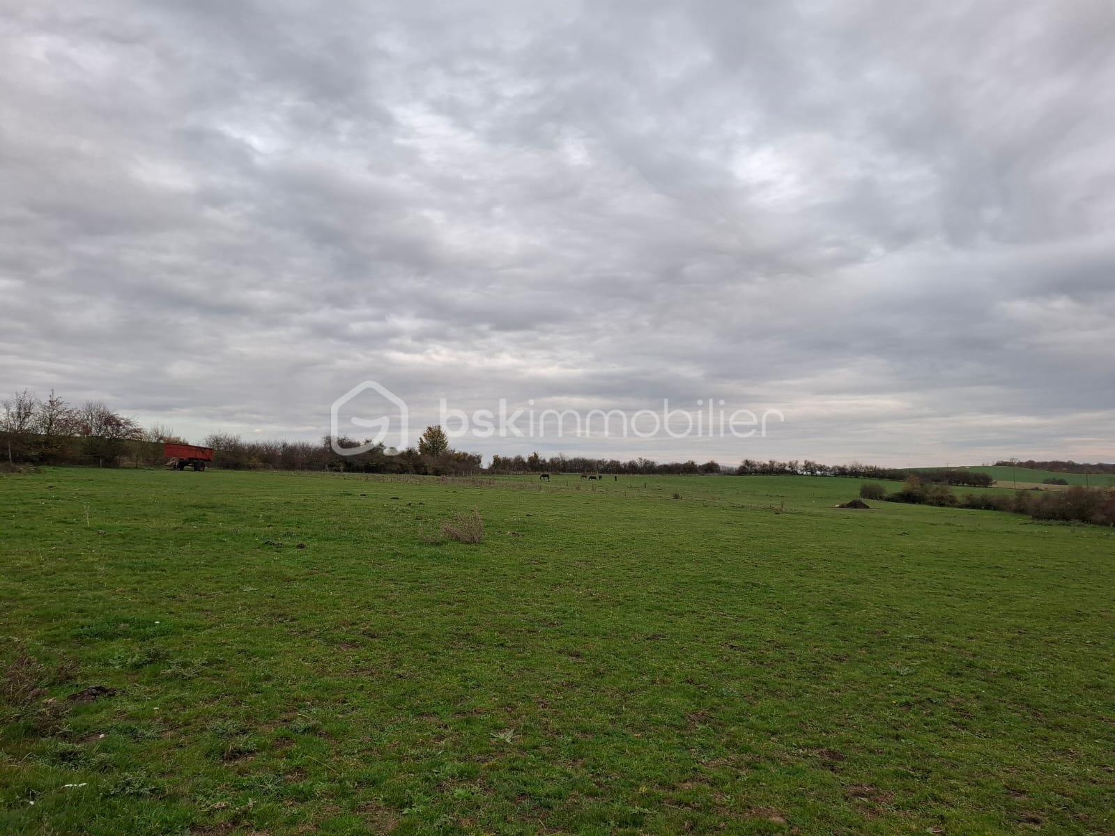 Propriete equestre de 2 112 m² - IMG-20251215-WA0009.jpg