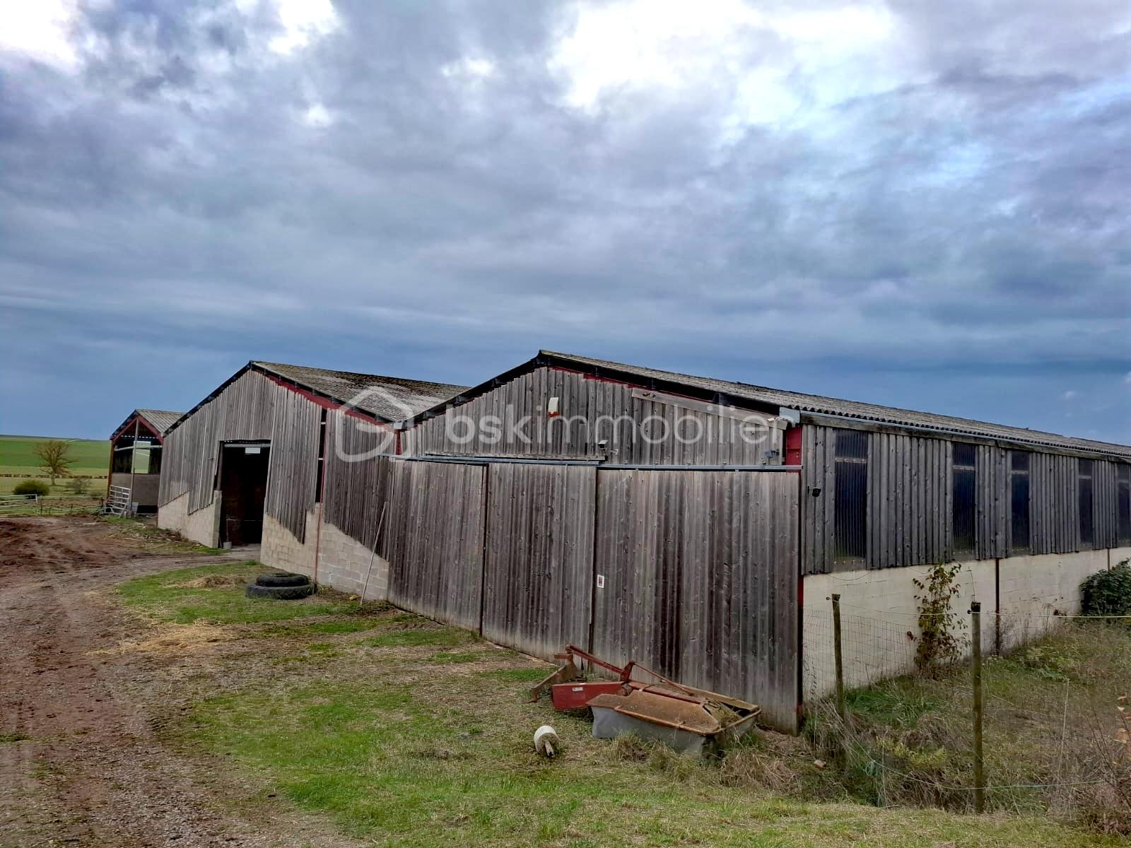 Propriete equestre de 2 112 m² - IMG_20251218_014637.jpg