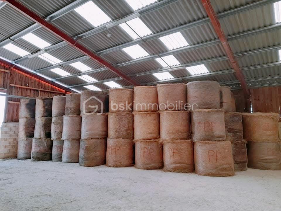 Propriete equestre de 2 112 m² - IMG-20251215-WA0018(2)_edit_451138898514151.jpg