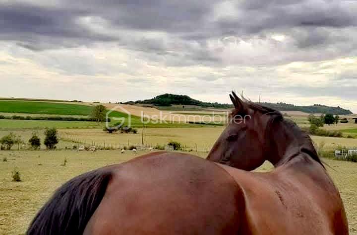 Propriete equestre de 2 112 m² - IMG-20251215-WA0027(1)_edit_451350075244644.jpg